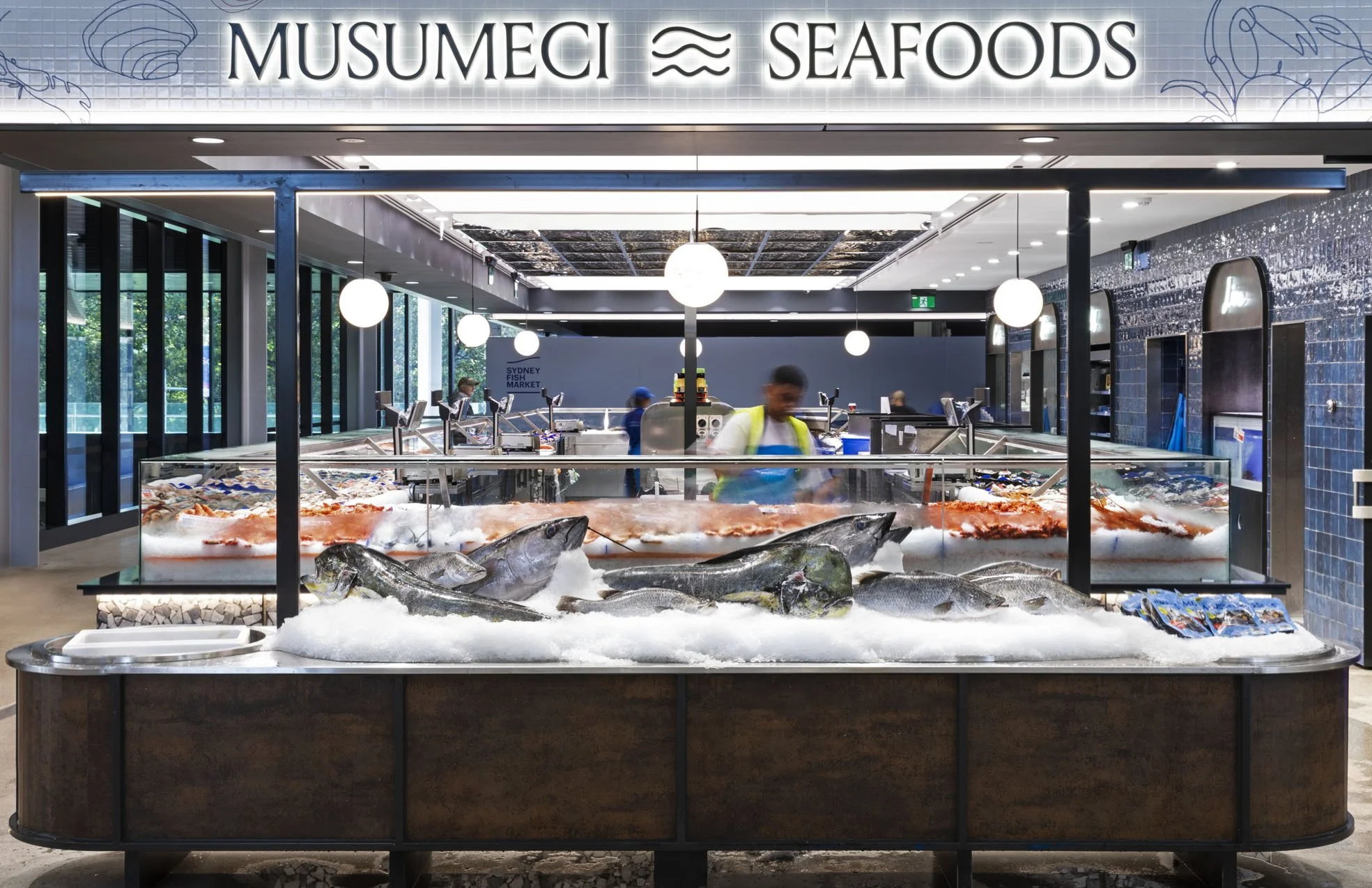 24_Musumeci_240326.jpg
