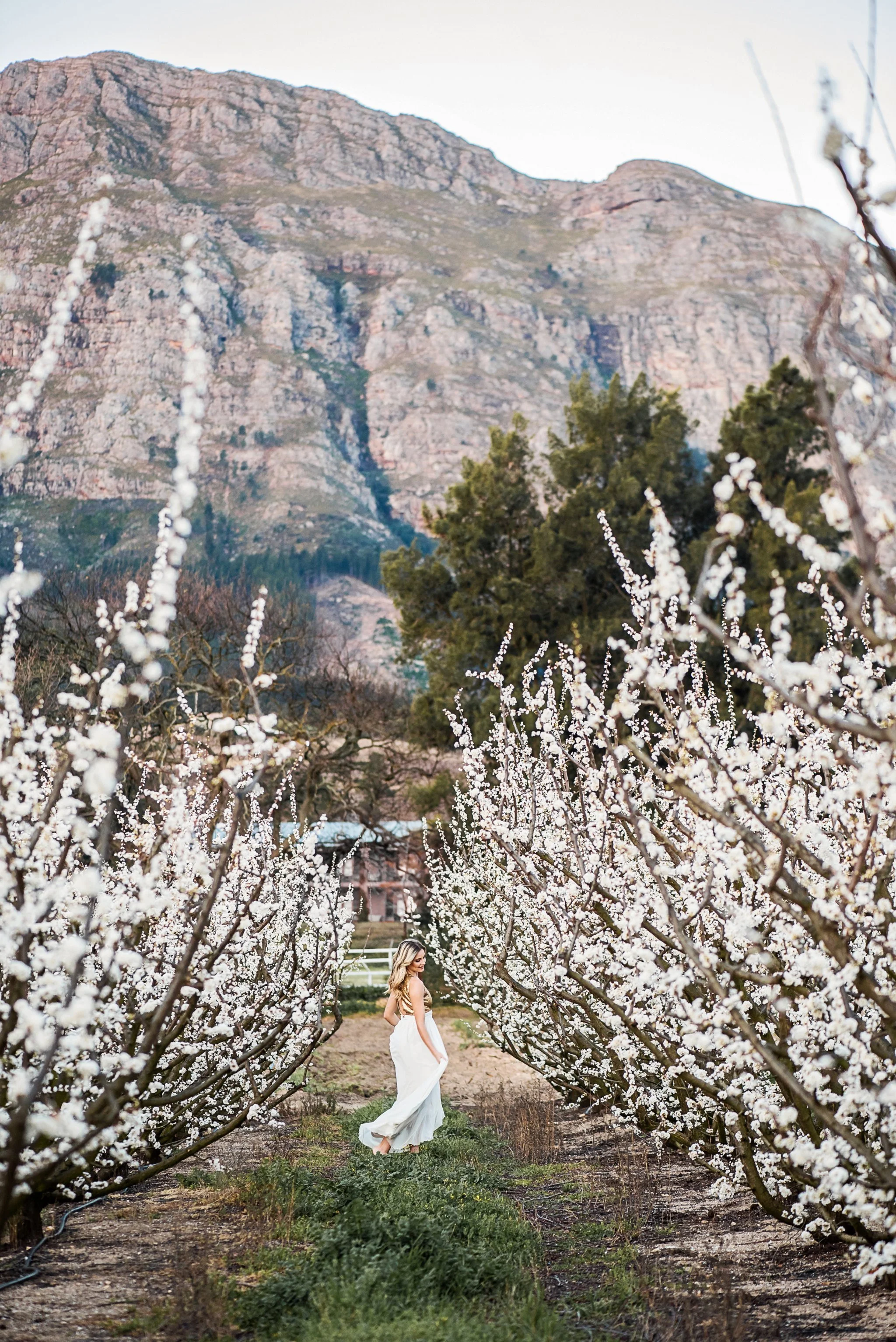 AstridBradleyPhoto_Spring_107.jpg