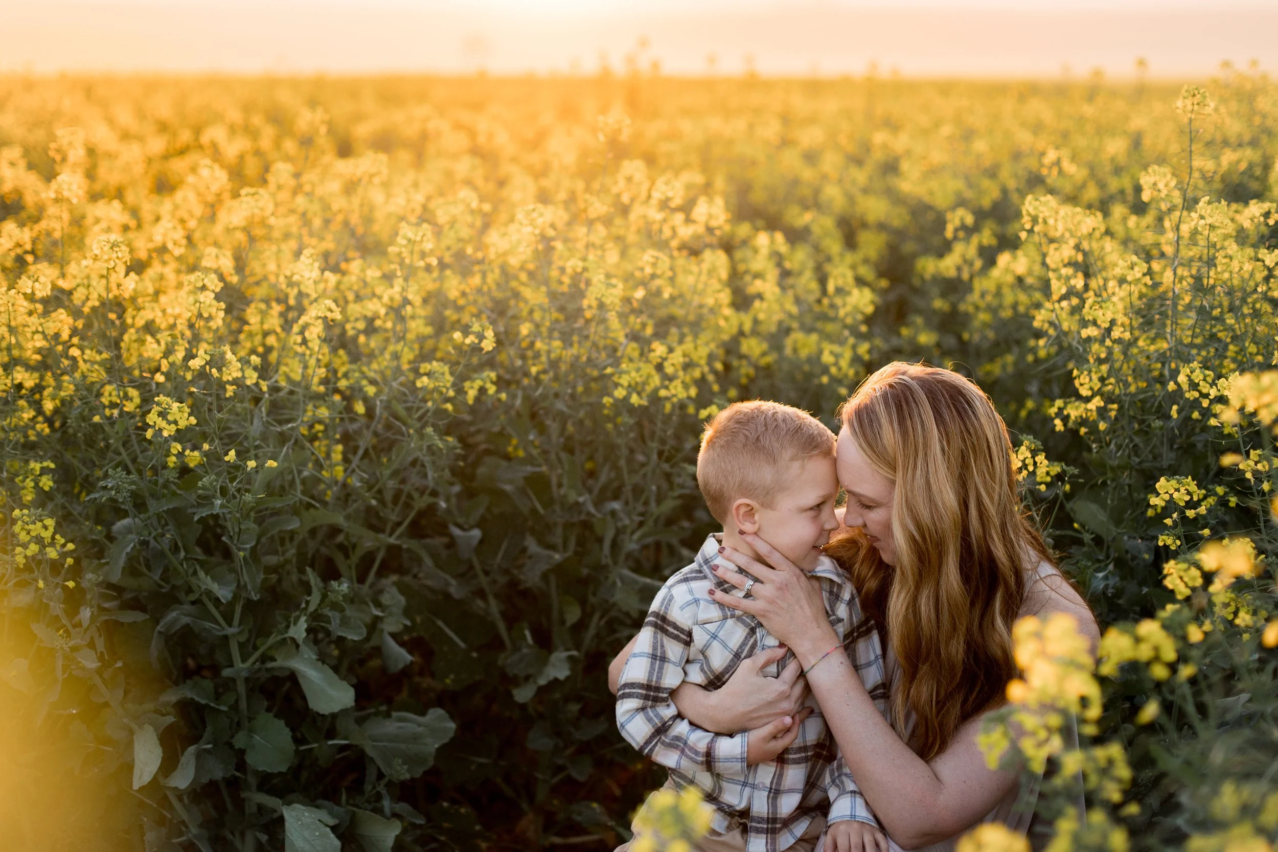 A mother and her young son sharing a tender moment in a yellow flower field at sunset.