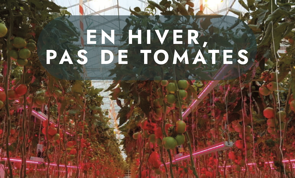 En hiver, pas de tomates !