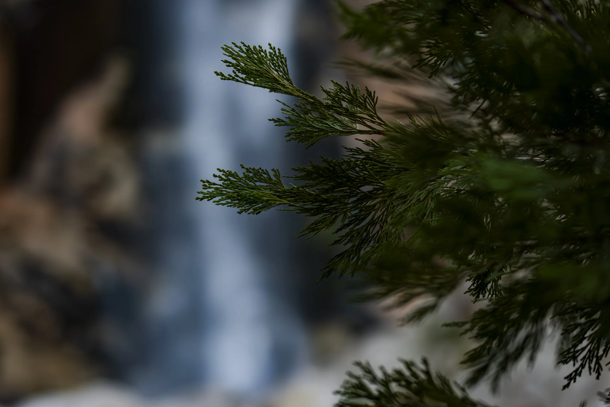 The waterfall is in the background this time. What did your eyes notice first instead?