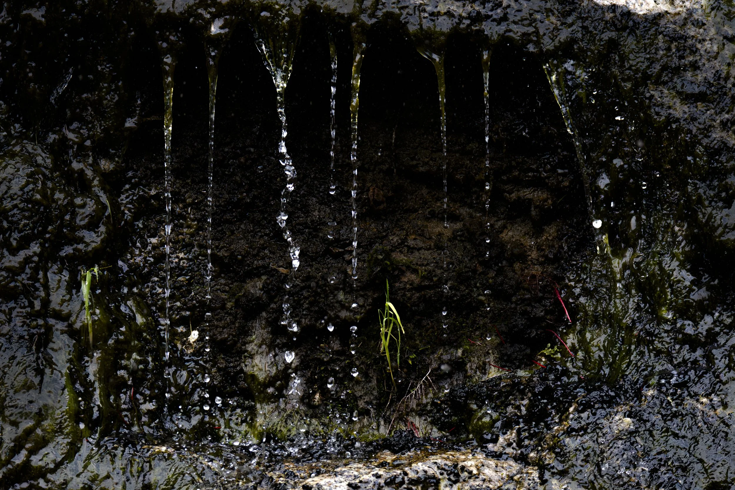 How many streams of water can you count?