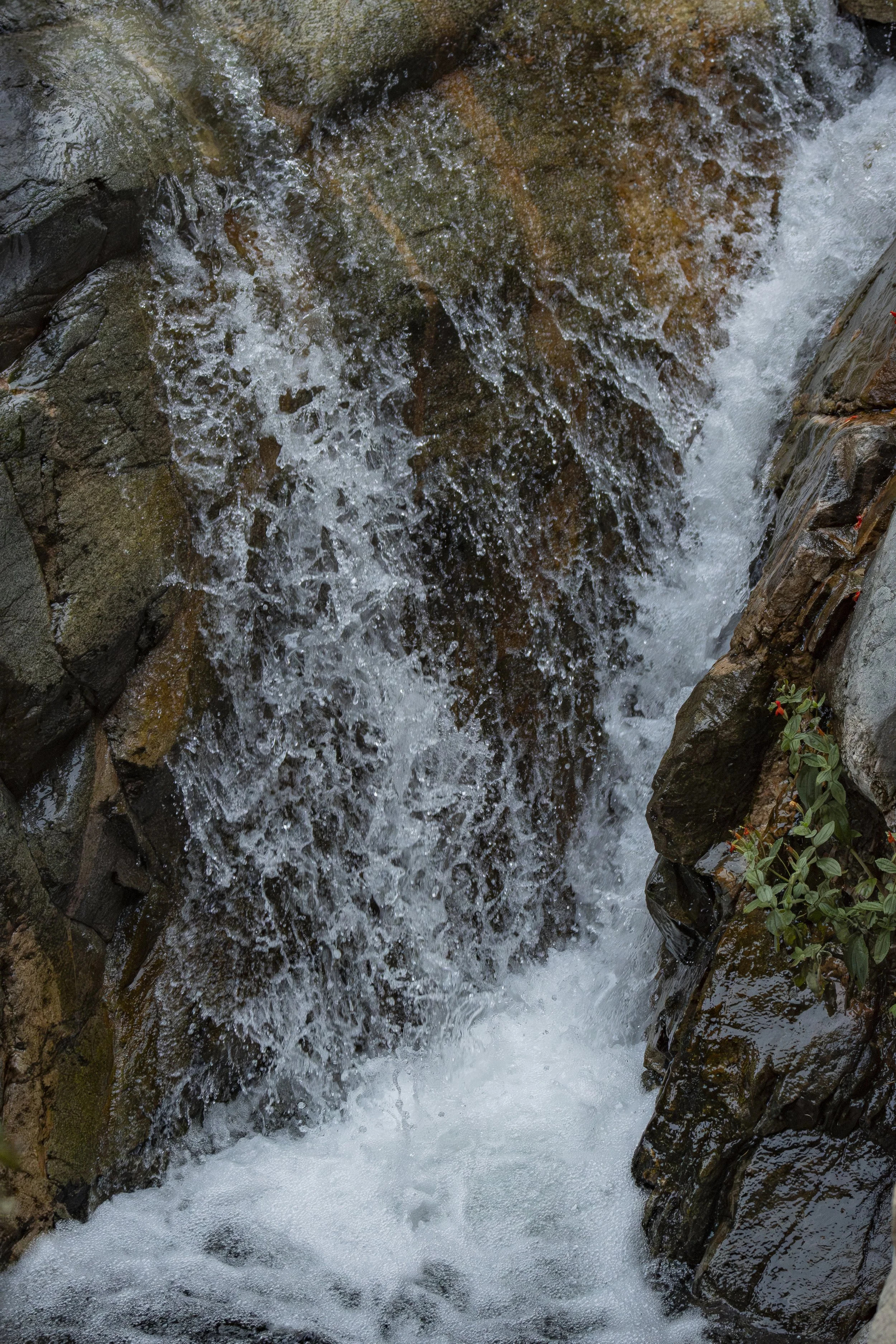 Two paths. One destination. Take a slow deep breath.