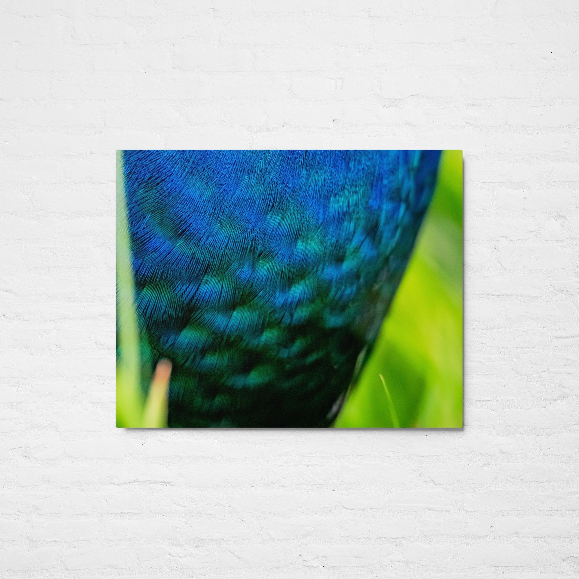 glossy-metal-print-(in)-white-8x10-front-68196d79a2ae7.jpg