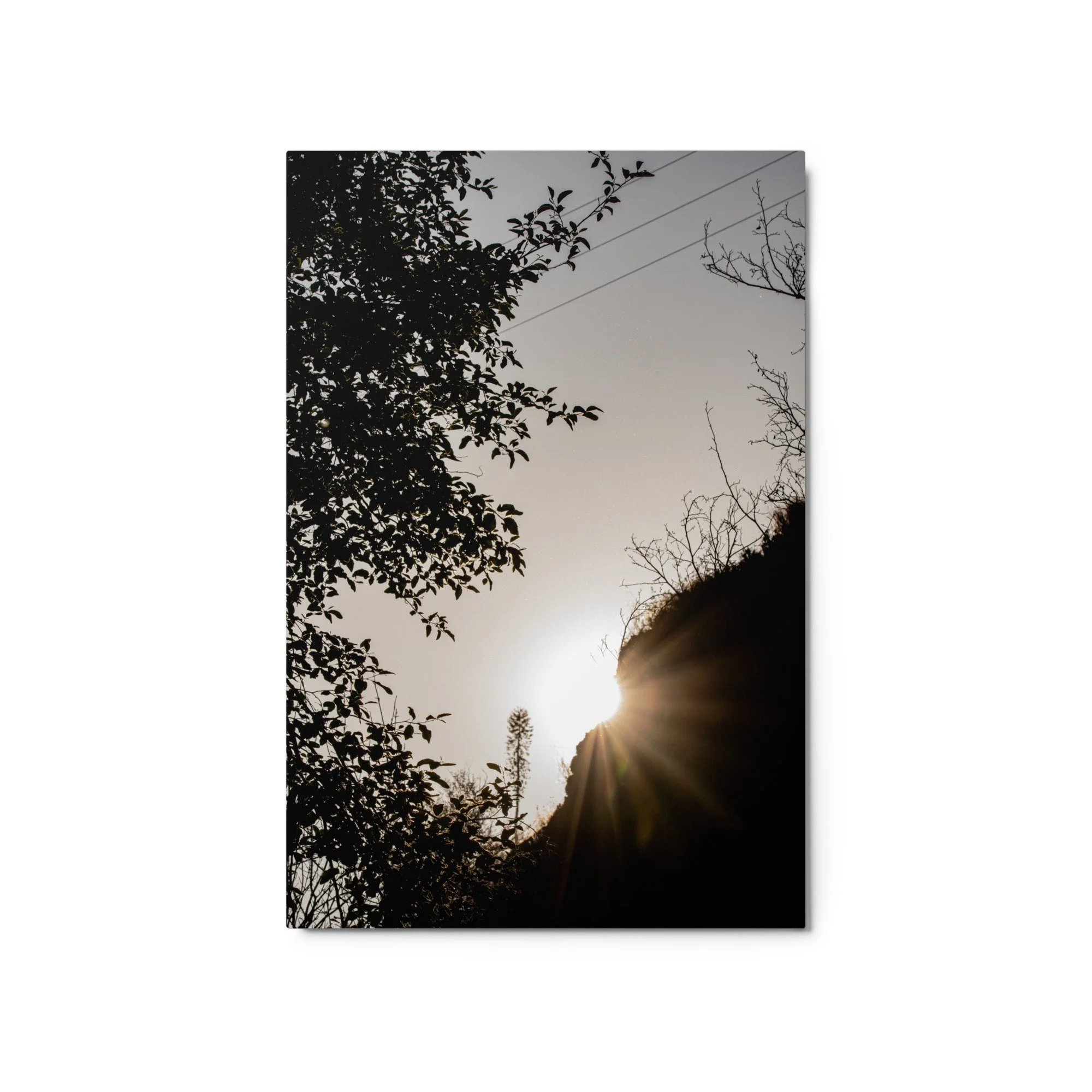 glossy-metal-print-(in)-white-20x30-front-68871e7d35595.jpg