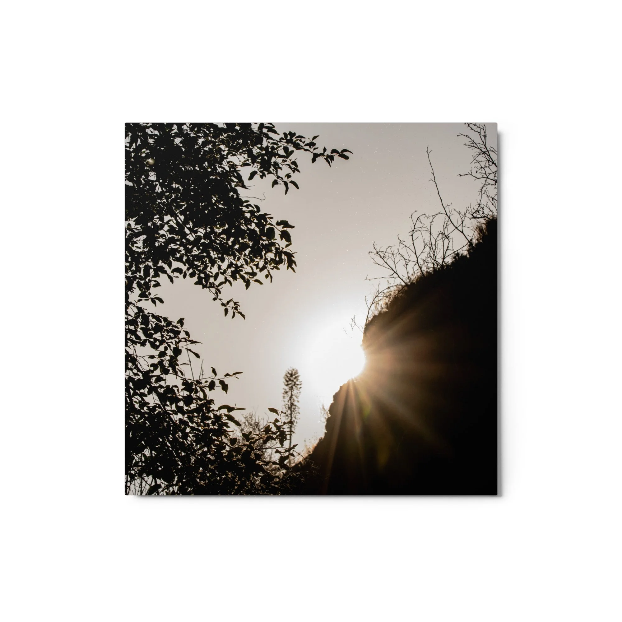 glossy-metal-print-(in)-white-12x12-front-68871e7d35eb4.jpg