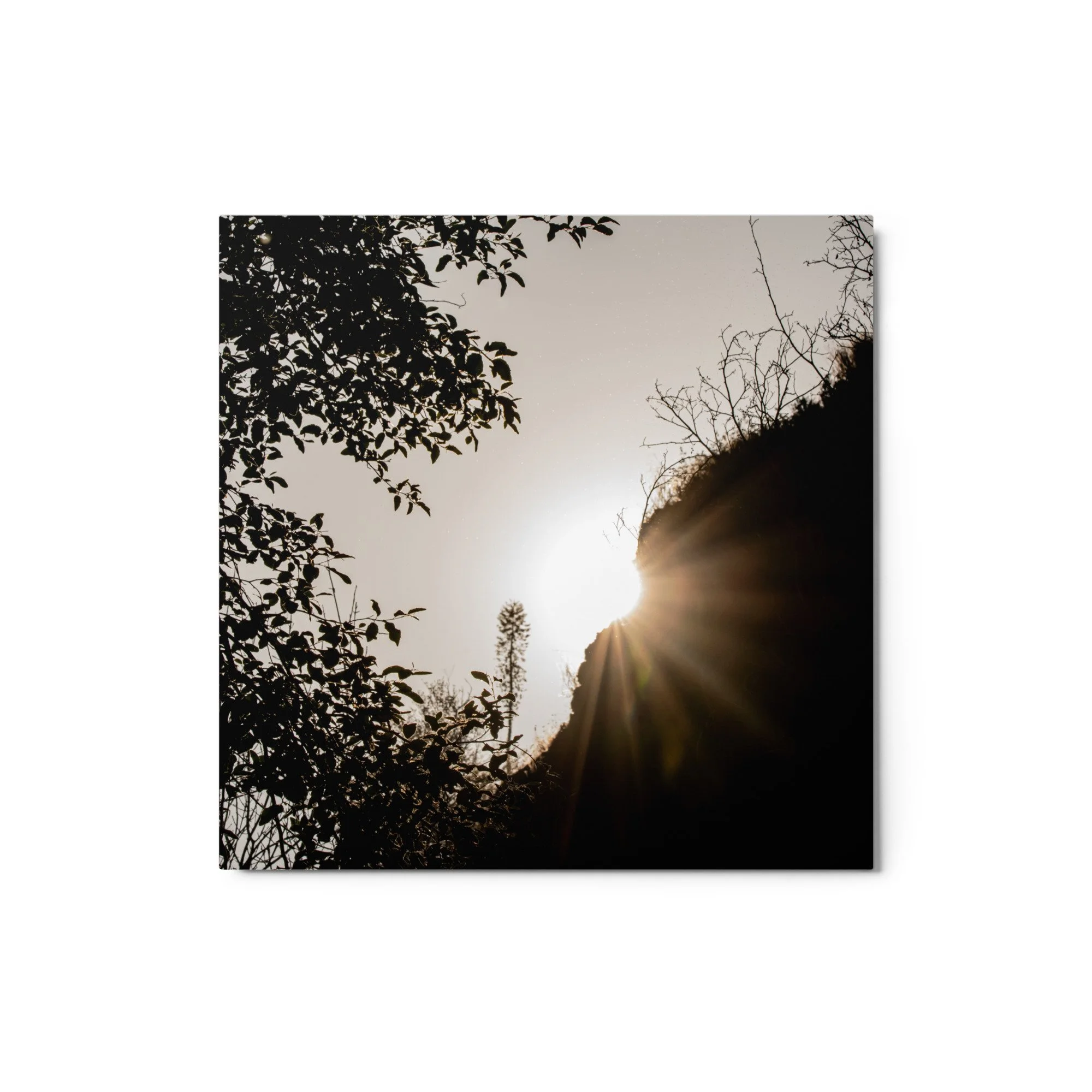 glossy-metal-print-(in)-white-12x12-front-68872e9e08e51.jpg