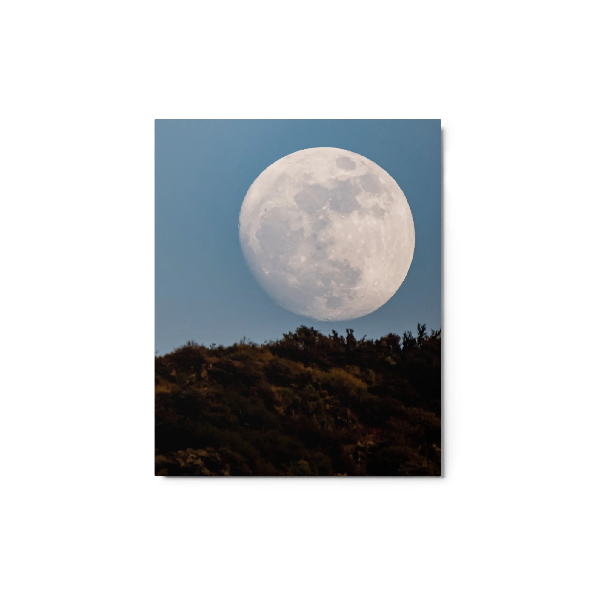 glossy-metal-print-(in)-white-8x10-front-688975352ab9c.jpg