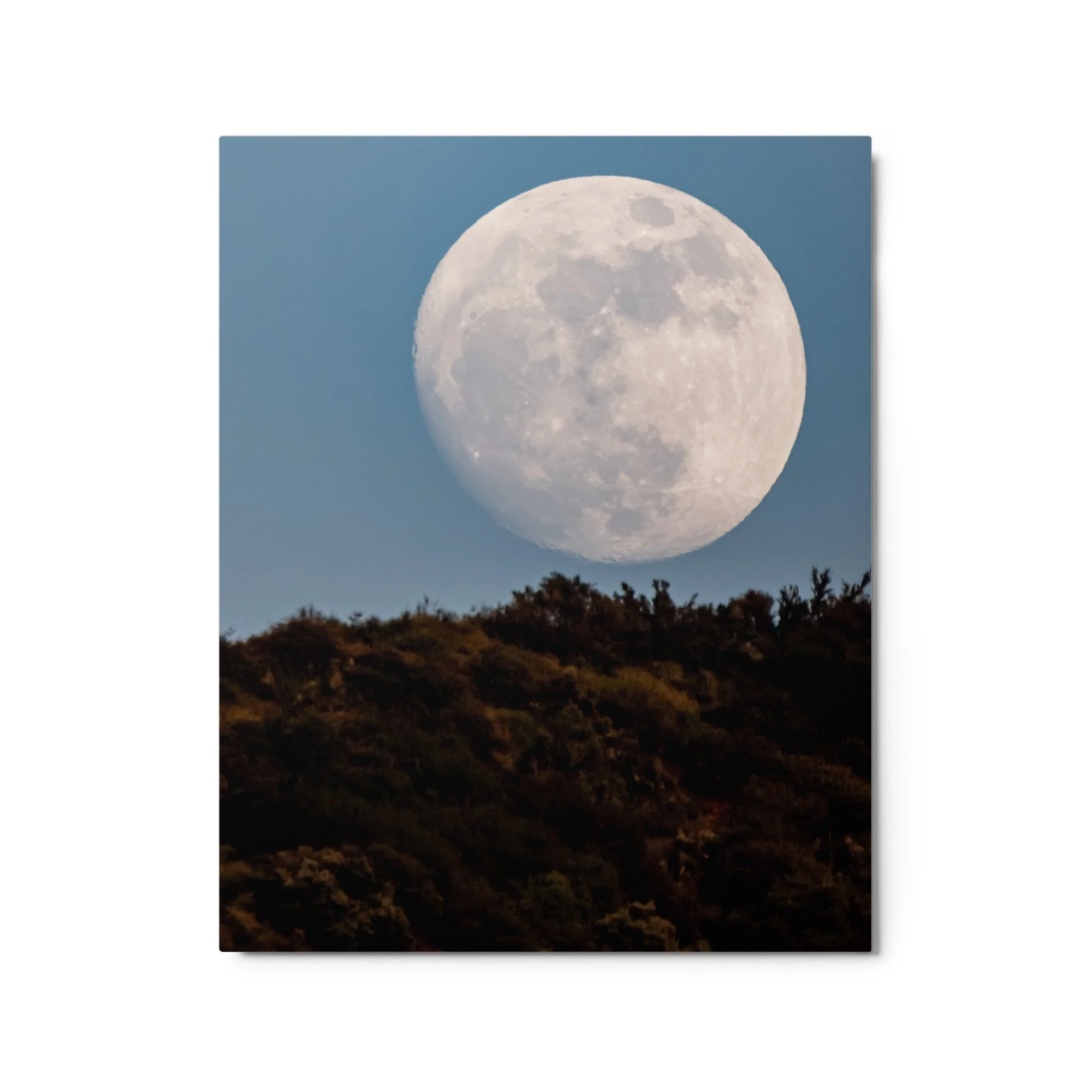 glossy-metal-print-(in)-white-16x20-front-688975352ad1e.jpg