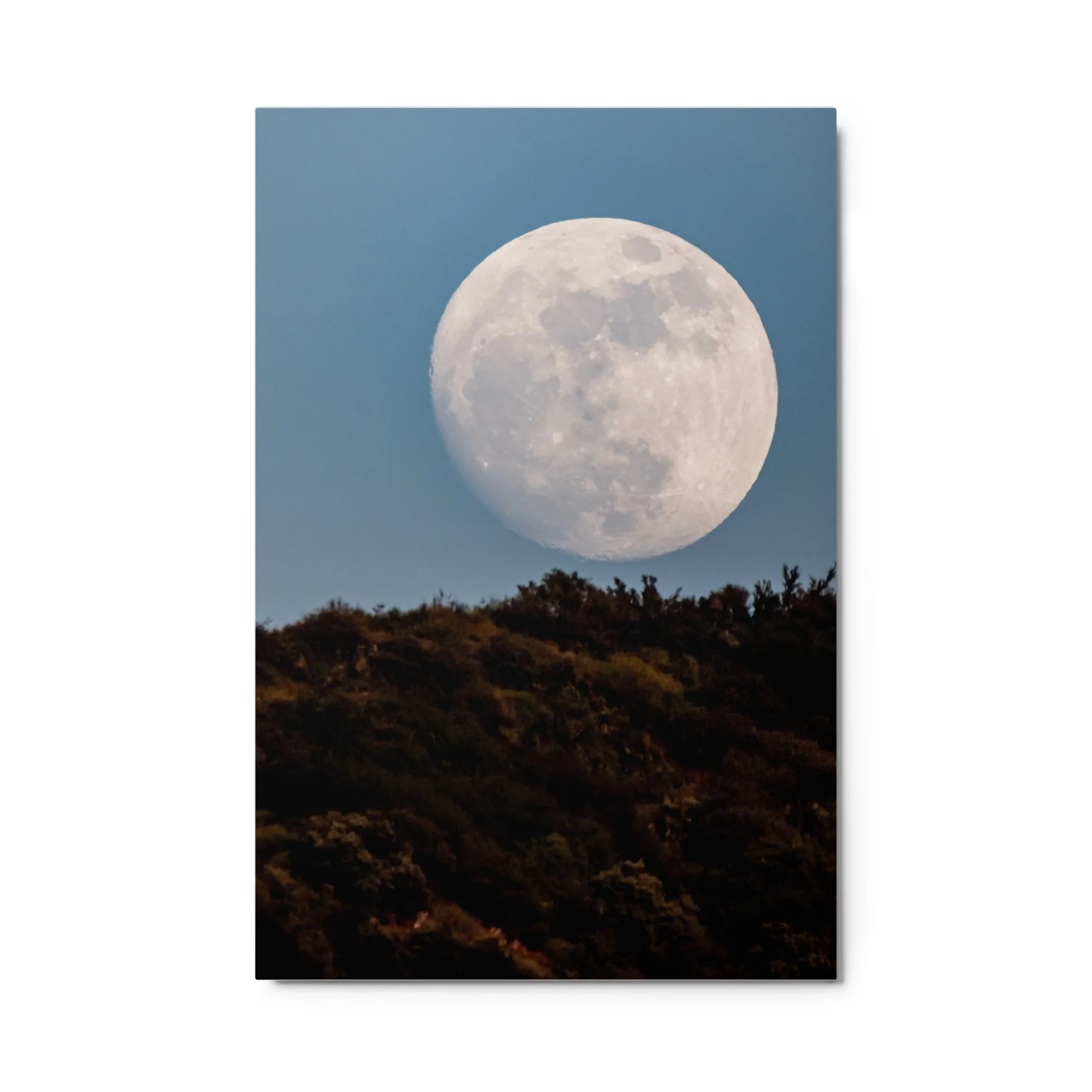 glossy-metal-print-(in)-white-24x36-front-688975352adb0.jpg
