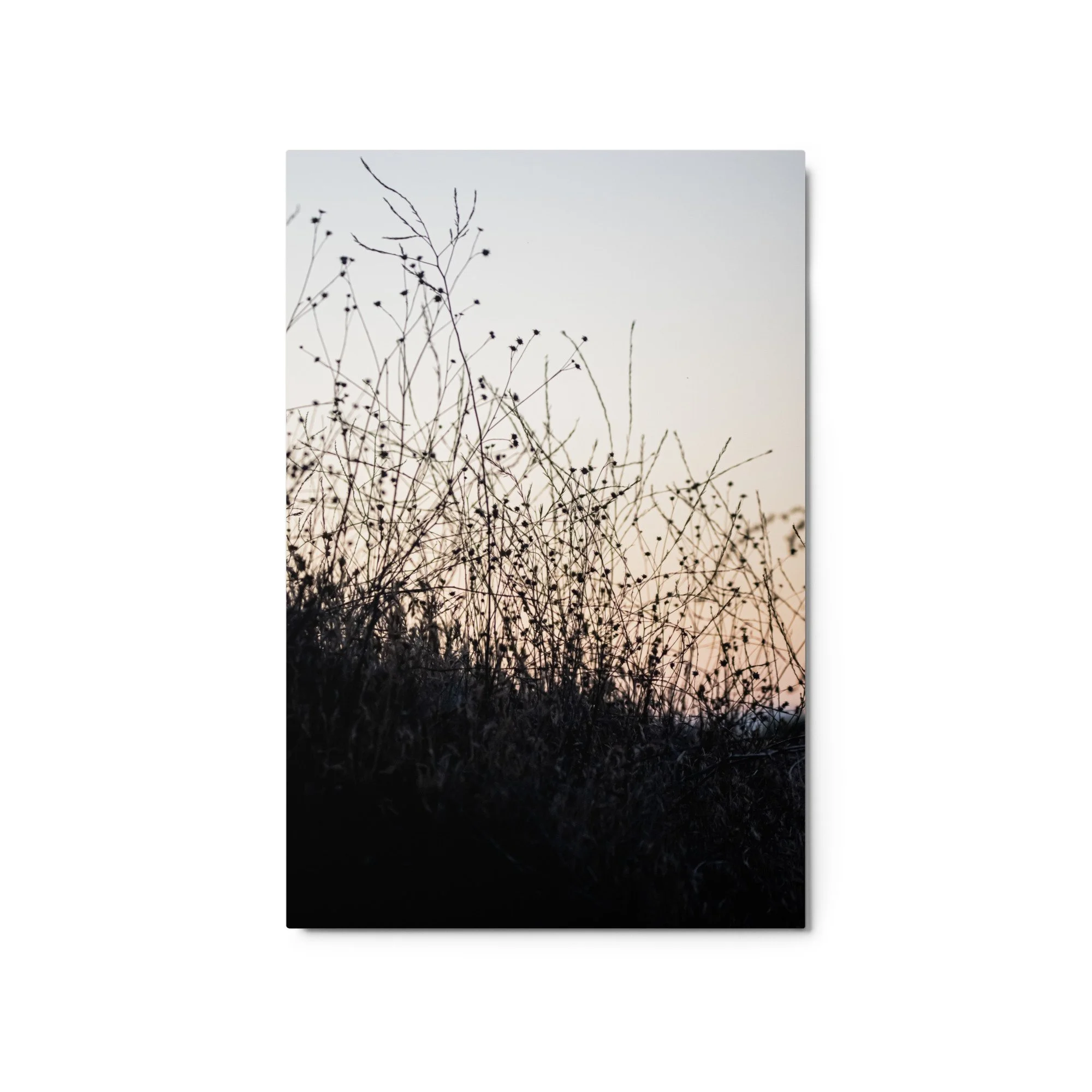 glossy-metal-print-(in)-white-20x30-front-68907858dd92b.jpg