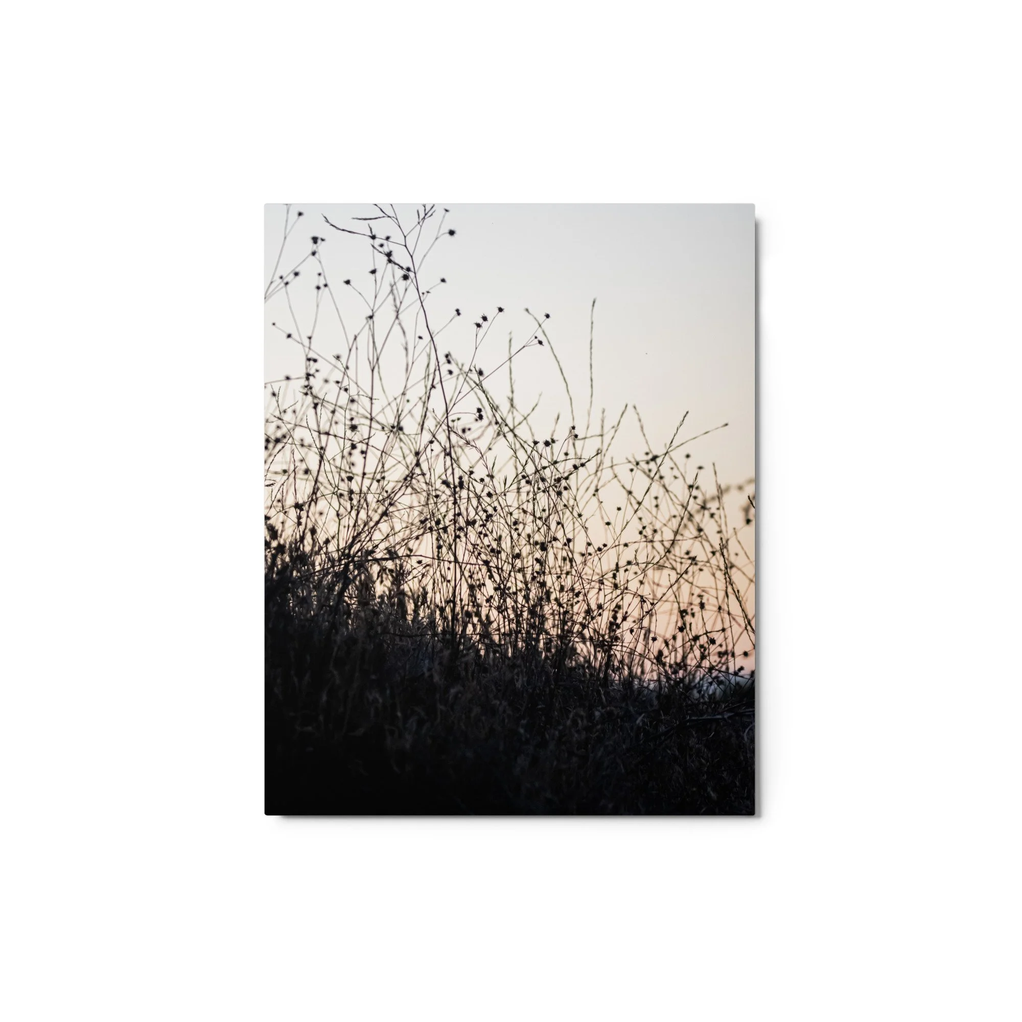 glossy-metal-print-(in)-white-8x10-front-68907858de2e5.jpg