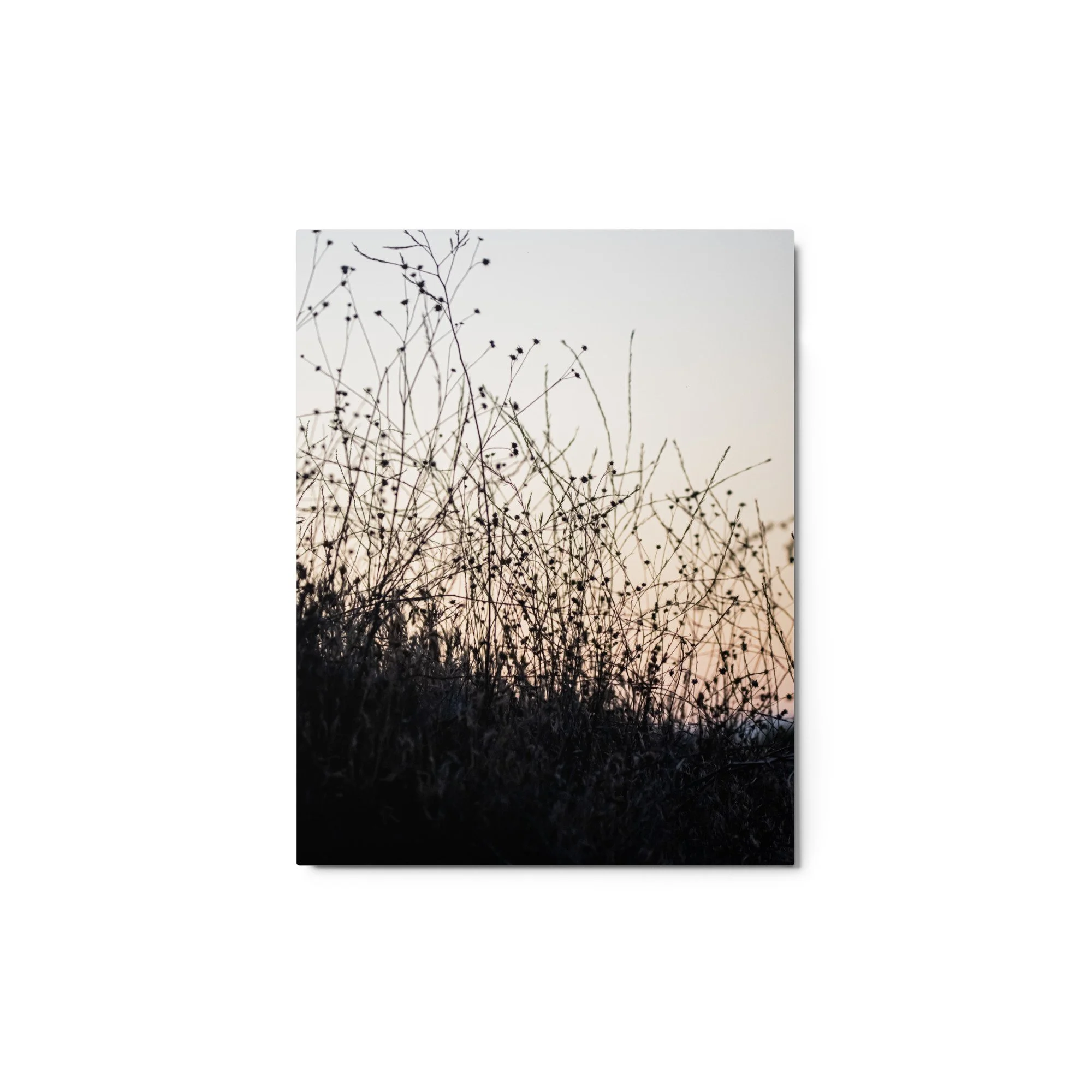 glossy-metal-print-(in)-white-11x14-front-68907858de375.jpg