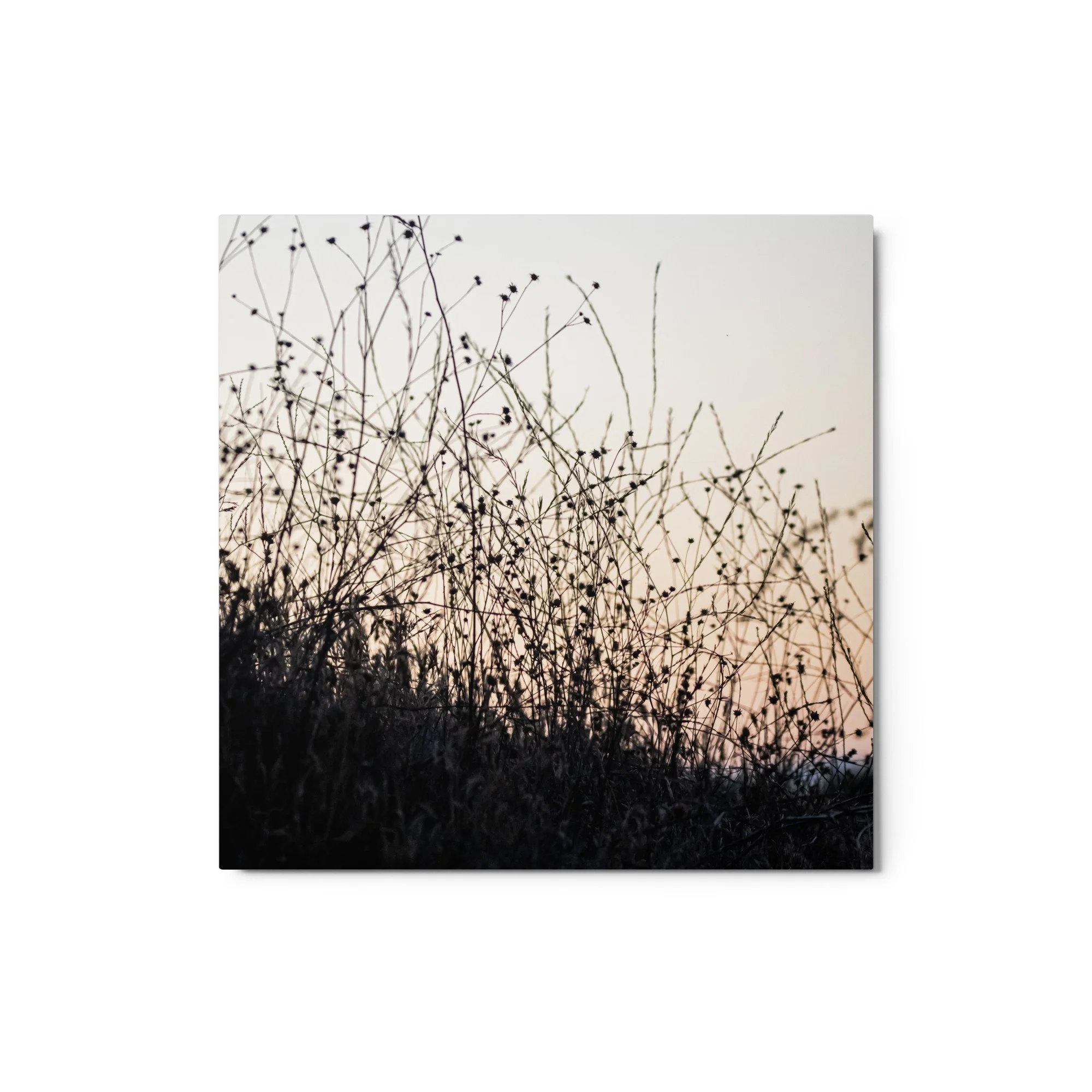 glossy-metal-print-(in)-white-12x12-front-68907858de3e3.jpg