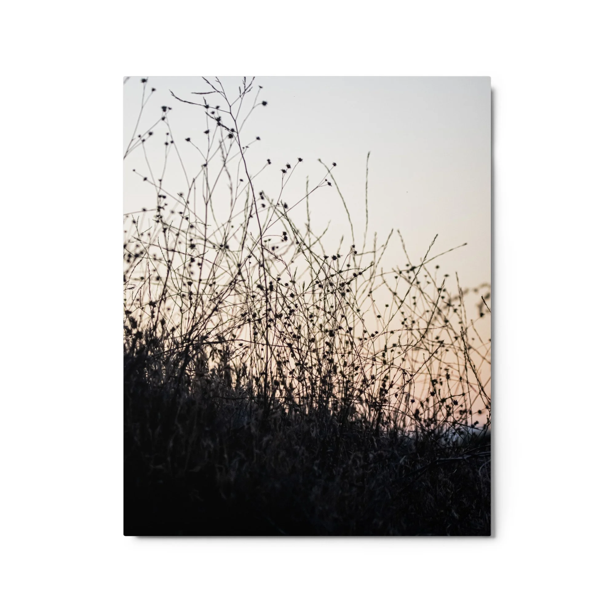 glossy-metal-print-(in)-white-16x20-front-68907858de44c.jpg