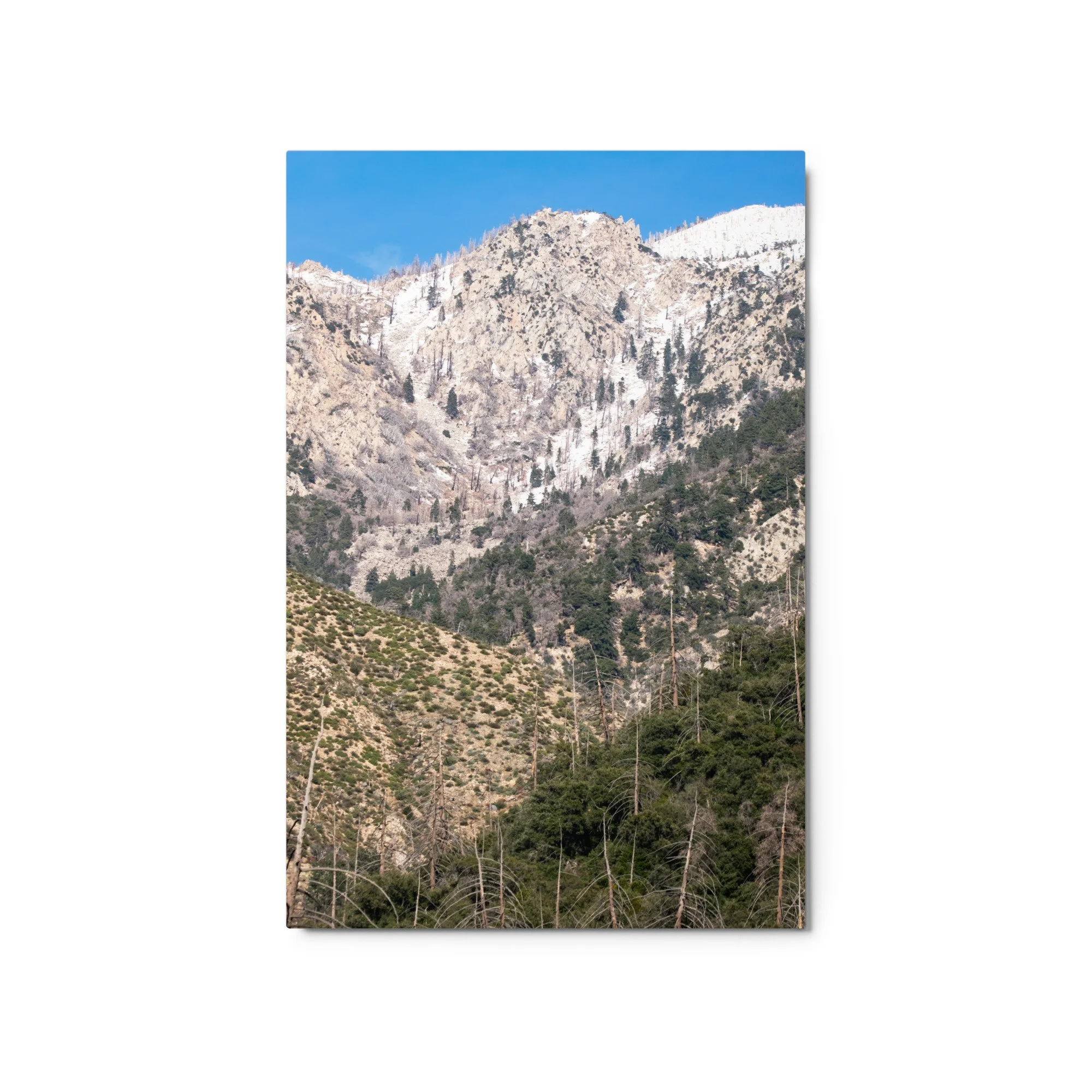 glossy-metal-print-(in)-white-20x30-front-6895bf7a4408b.jpg