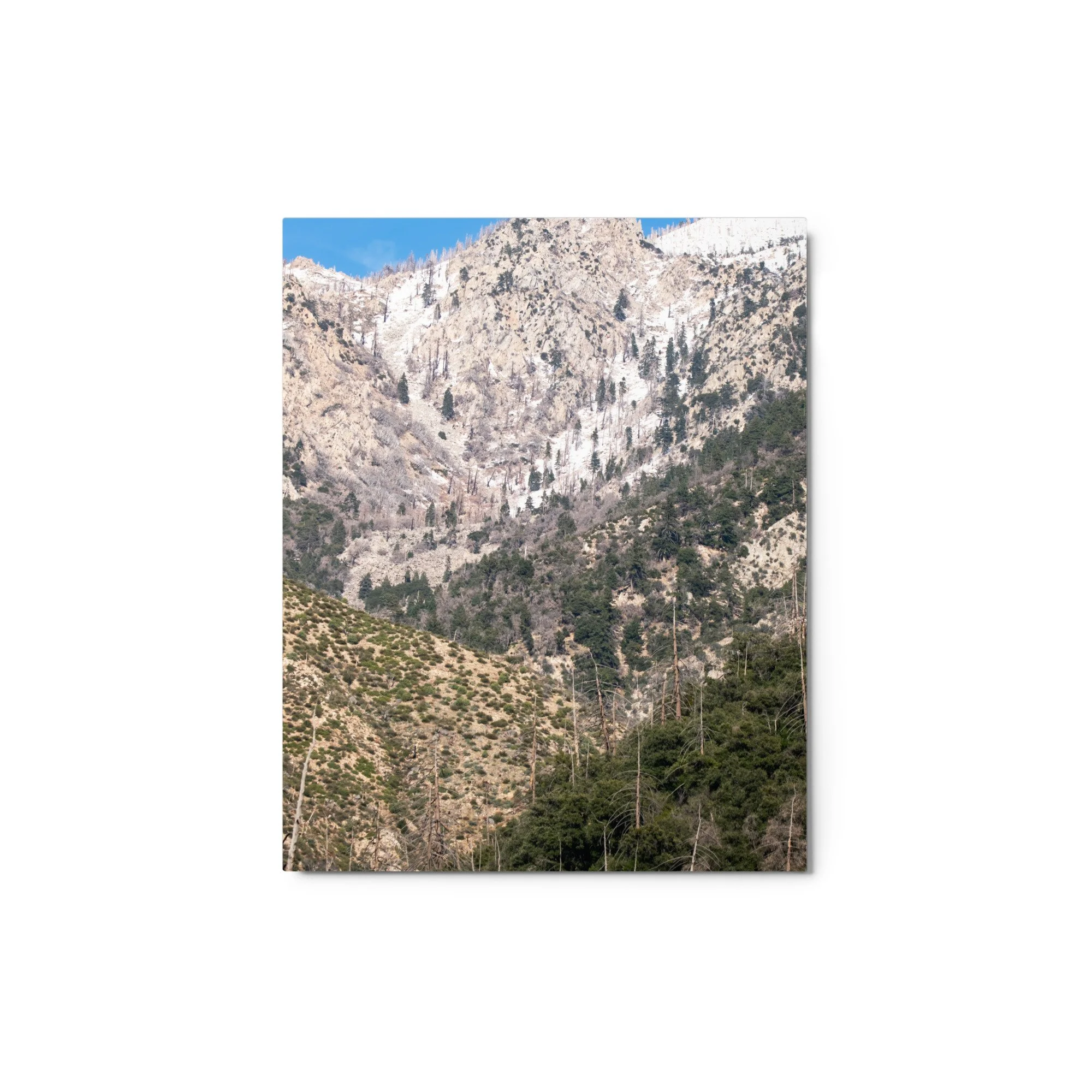 glossy-metal-print-(in)-white-8x10-front-6895bf7a44d2a.jpg