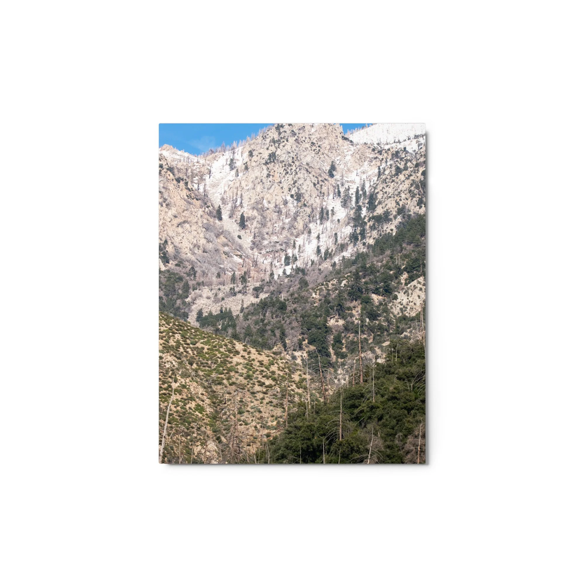 glossy-metal-print-(in)-white-11x14-front-6895bf7a44dc4.jpg