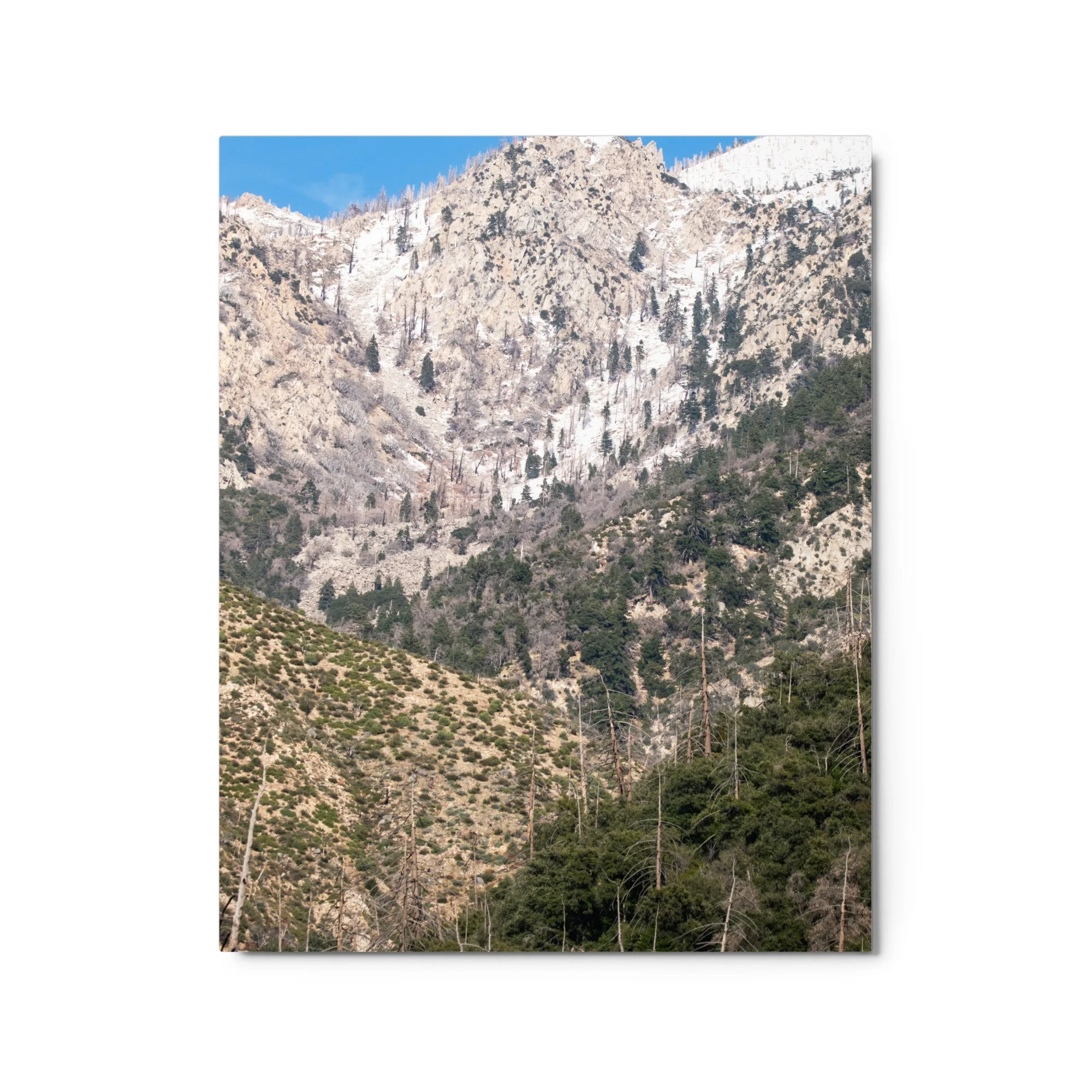 glossy-metal-print-(in)-white-16x20-front-6895bf7a44ea9.jpg