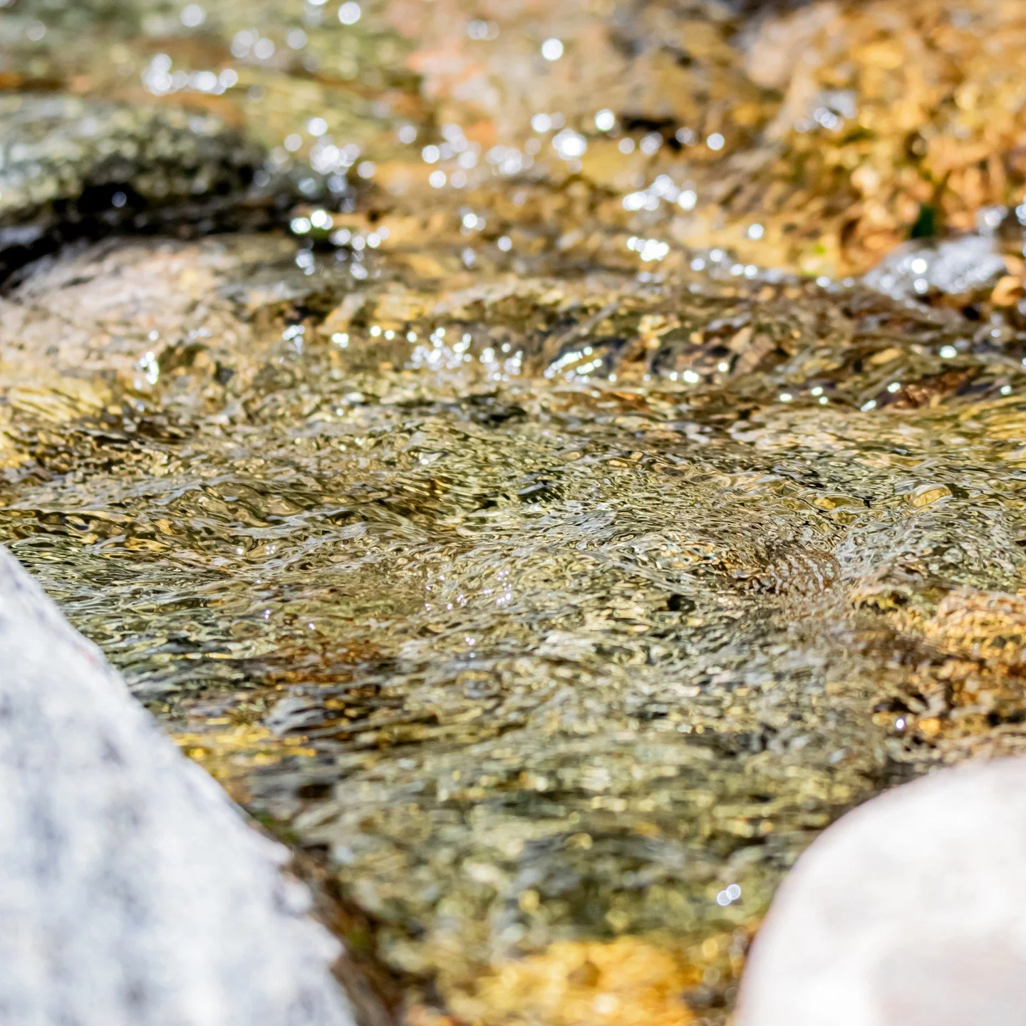As the weather shifts, our bodies adjust too. The drop in sunlight, cooler air, and shorter days can affect mood and energy. It is natural to feel slower or even a little heavy during this time.
Listen to your body, love.