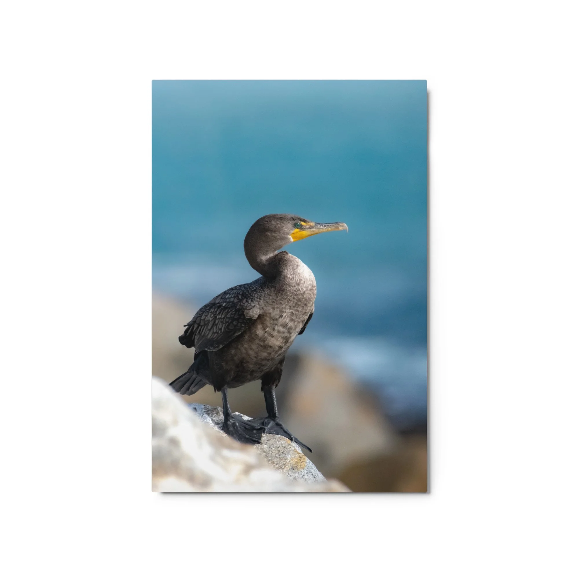 glossy-metal-print-(in)-white-20x30-front-68d4e9e8a1dad.jpg