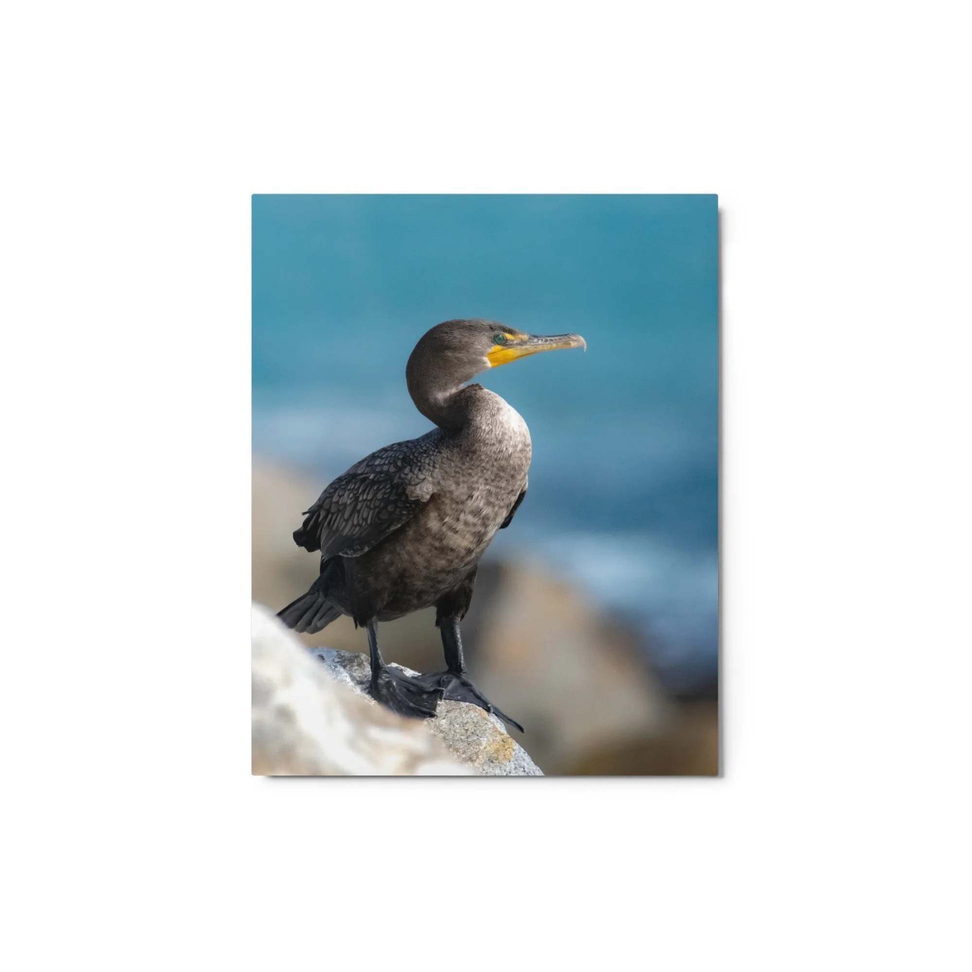glossy-metal-print-(in)-white-8x10-front-68d4e9e8a37ac.jpg