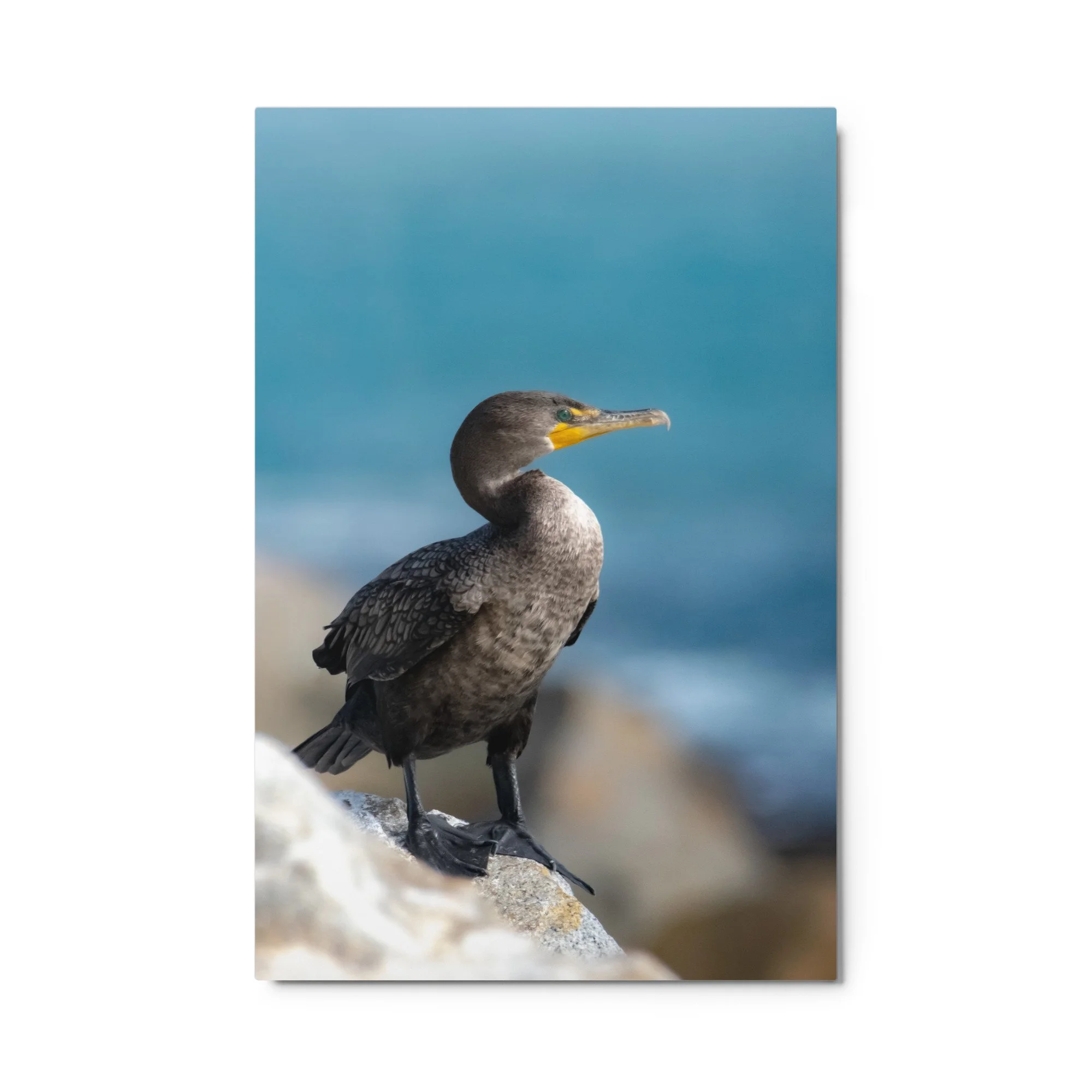 glossy-metal-print-(in)-white-24x36-front-68d4e9e8a39c9.jpg