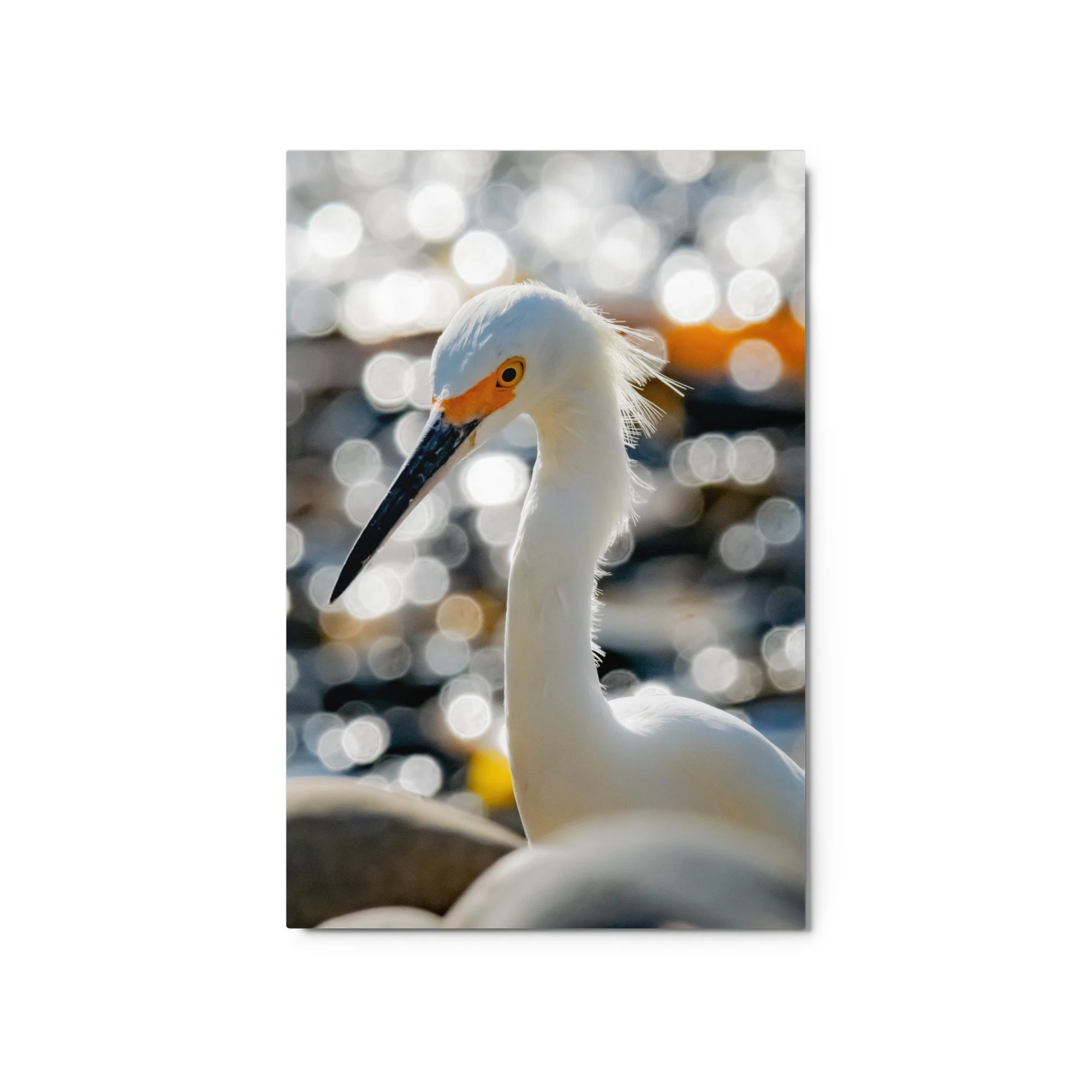 glossy-metal-print-(in)-white-20x30-front-68d4f36d49d87.jpg