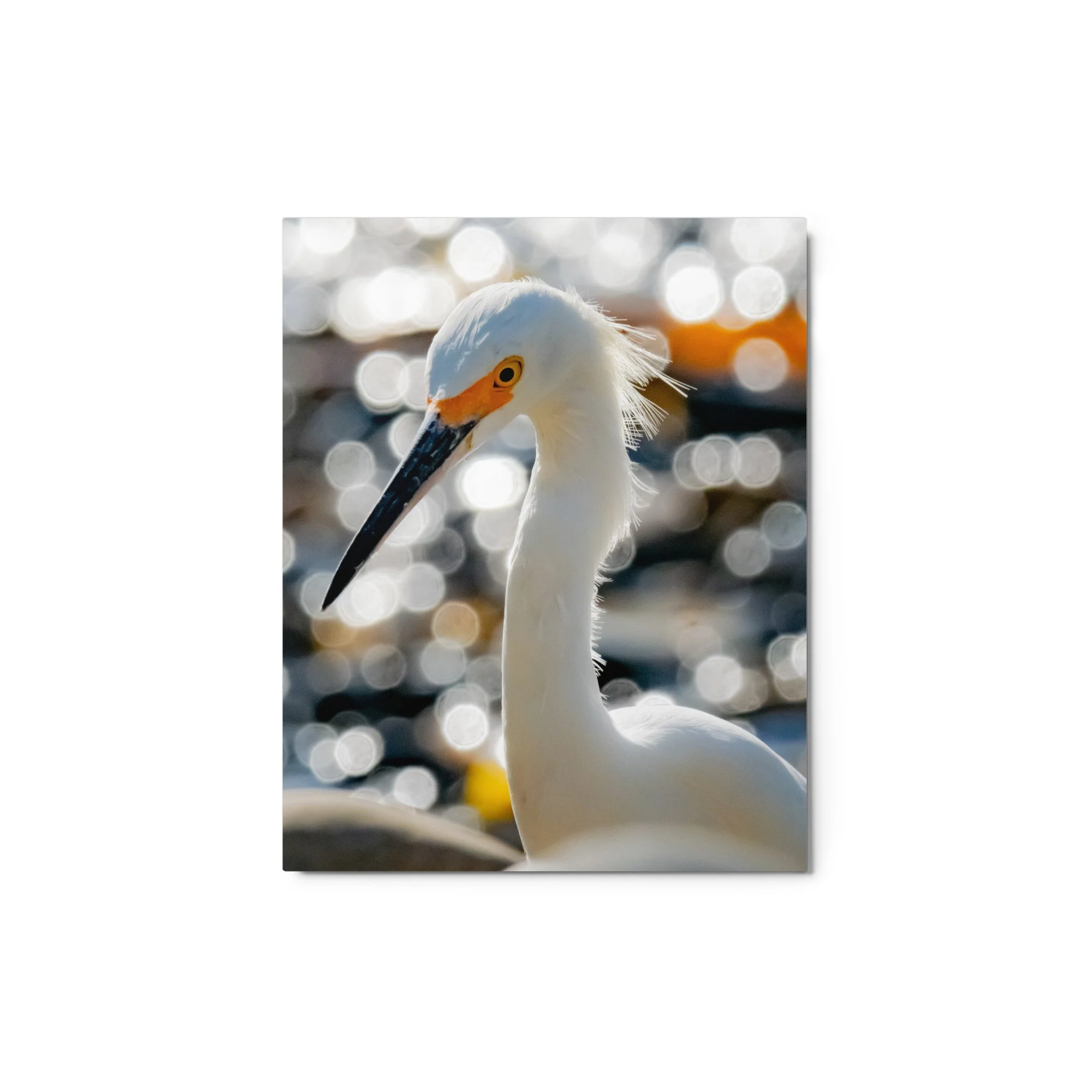 glossy-metal-print-(in)-white-8x10-front-68d4f36d4aa27.jpg