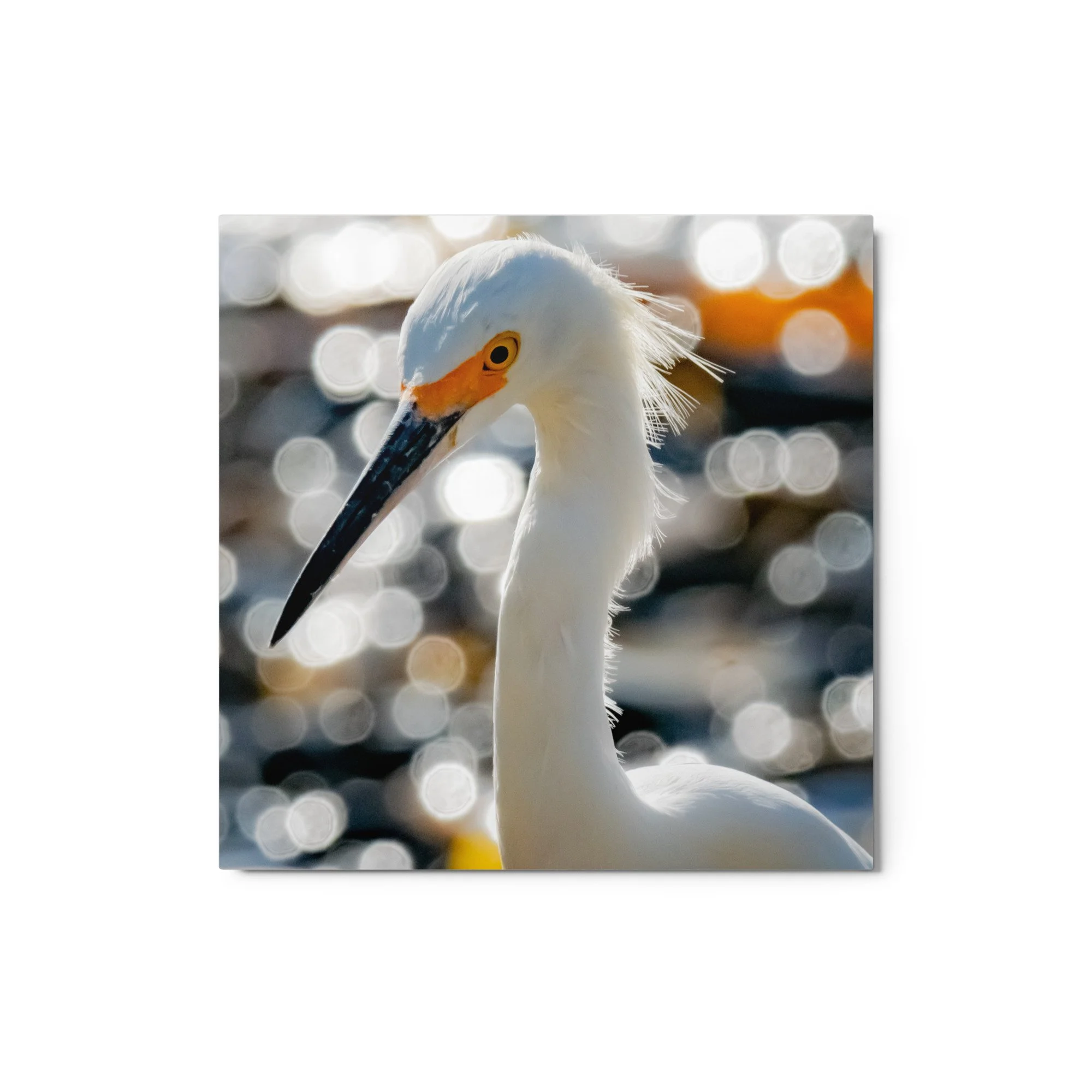 glossy-metal-print-(in)-white-12x12-front-68d4f36d4abc9.jpg