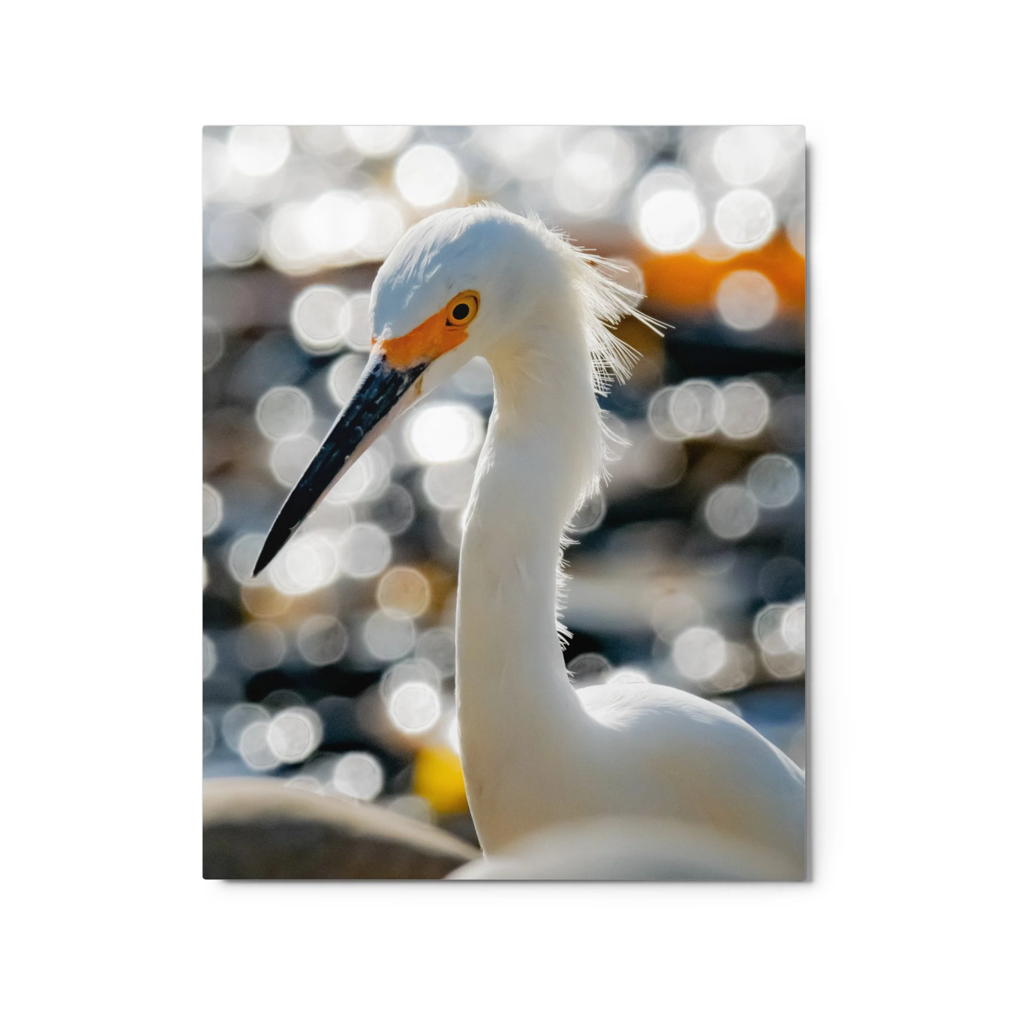 glossy-metal-print-(in)-white-16x20-front-68d4f36d4ac71.jpg