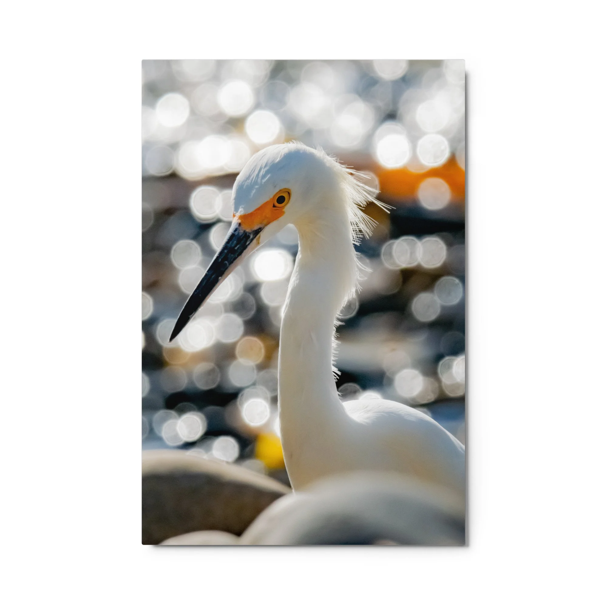 glossy-metal-print-(in)-white-24x36-front-68d4f36d4ad45.jpg