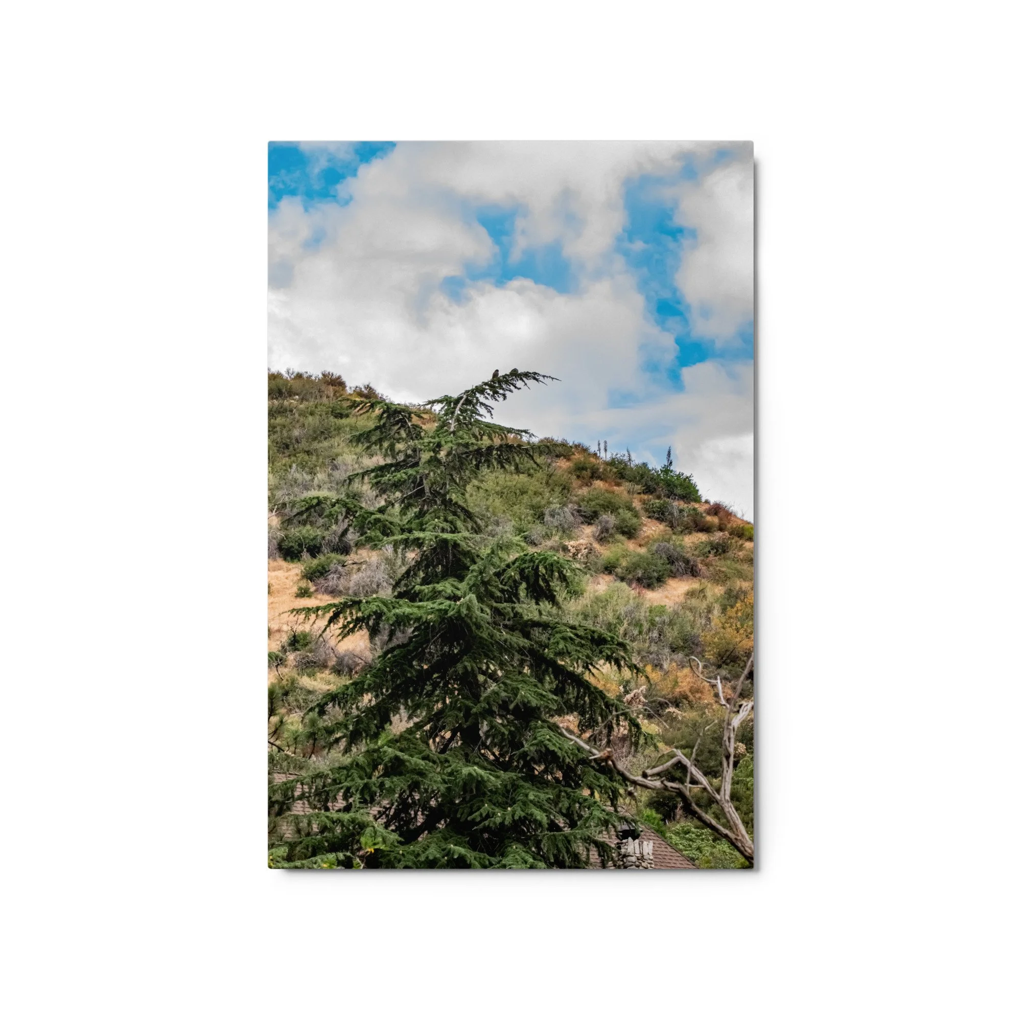 glossy-metal-print-(in)-white-20x30-front-68d4f5fa03463.jpg