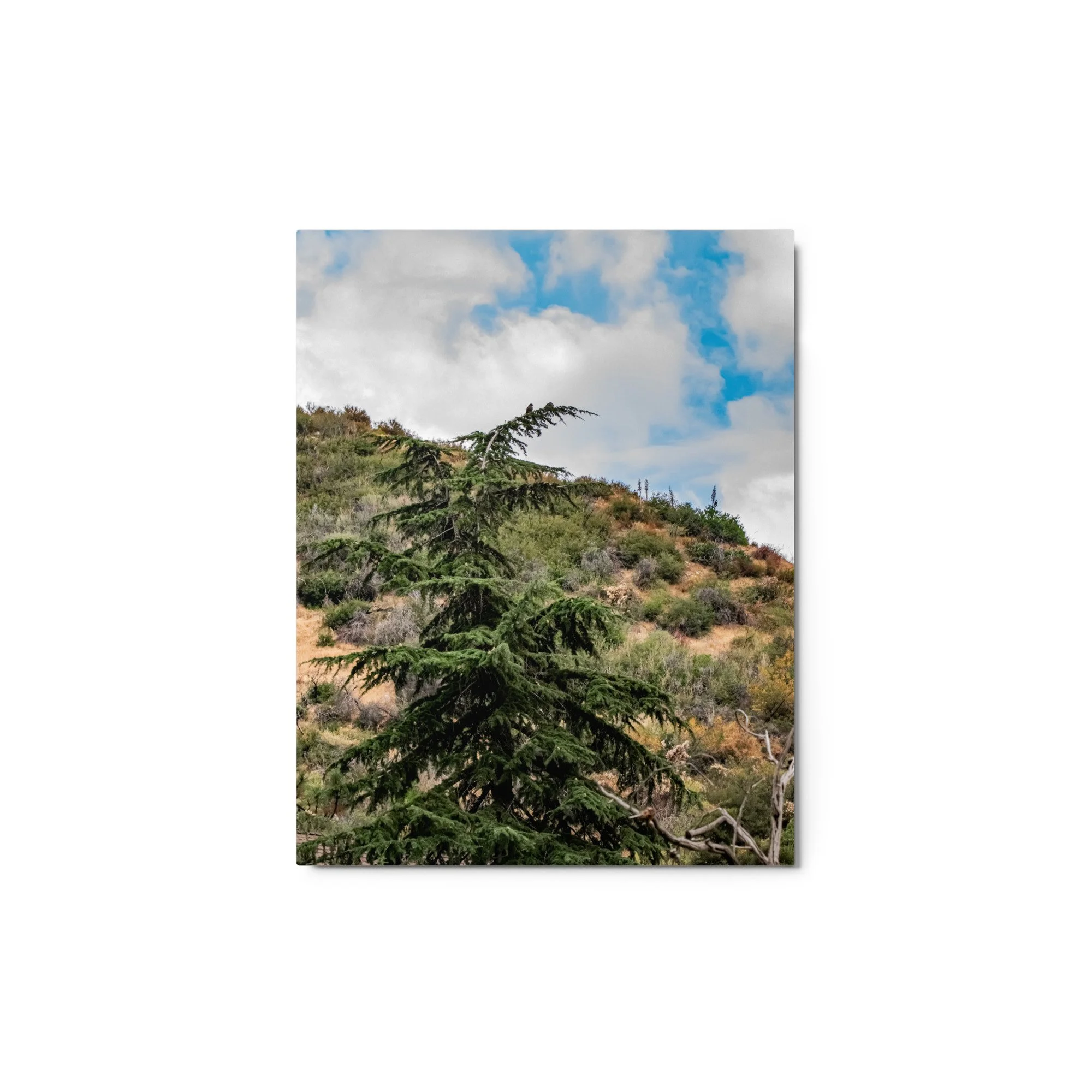 glossy-metal-print-(in)-white-11x14-front-68d4f5fa042bc.jpg