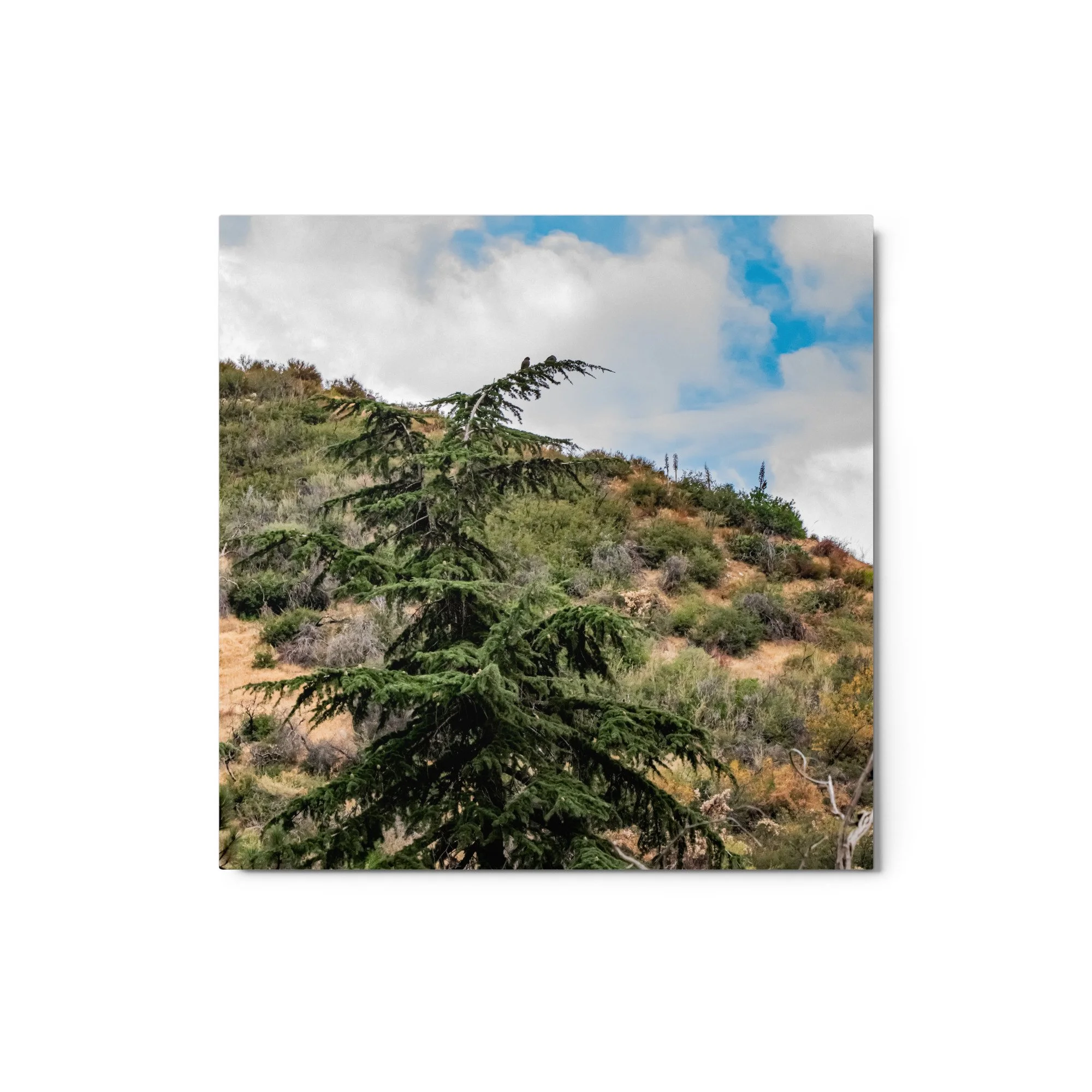 glossy-metal-print-(in)-white-12x12-front-68d4f5fa0433a.jpg