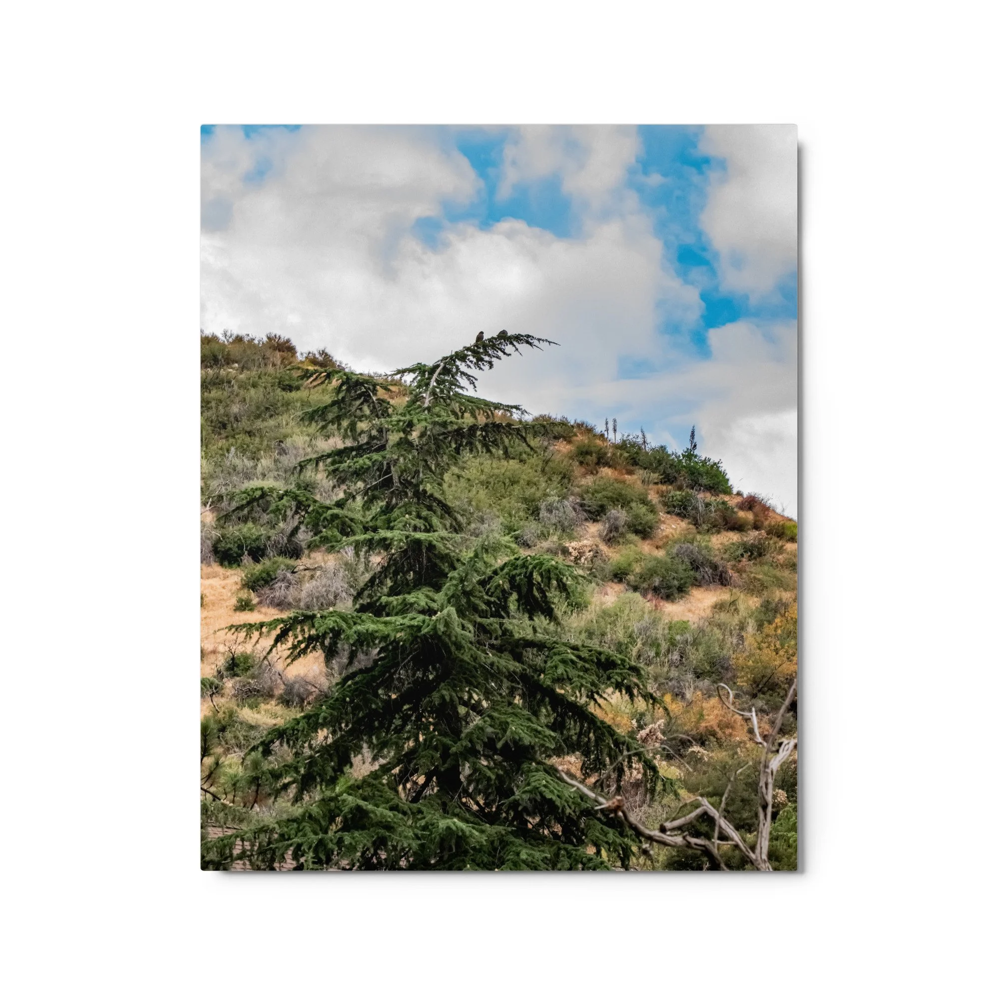 glossy-metal-print-(in)-white-16x20-front-68d4f5fa043e4.jpg