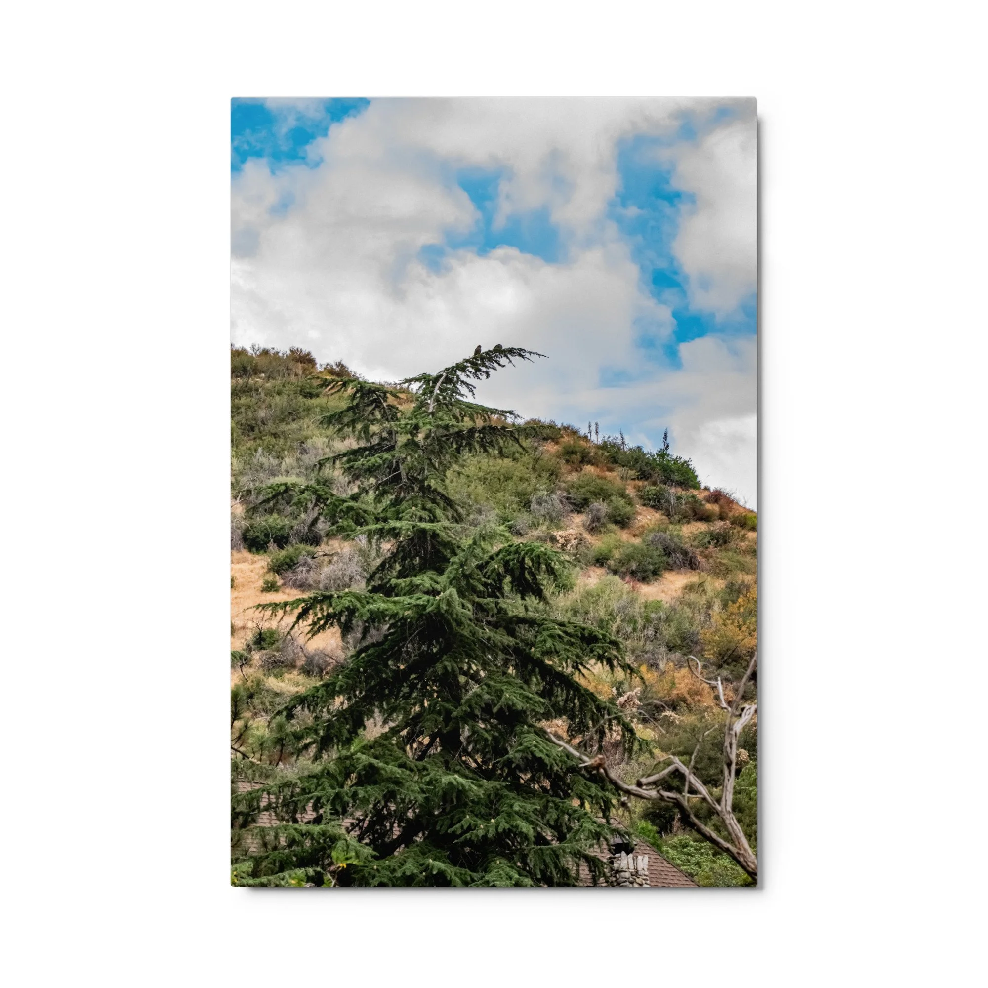 glossy-metal-print-(in)-white-24x36-front-68d4f5fa044e9.jpg