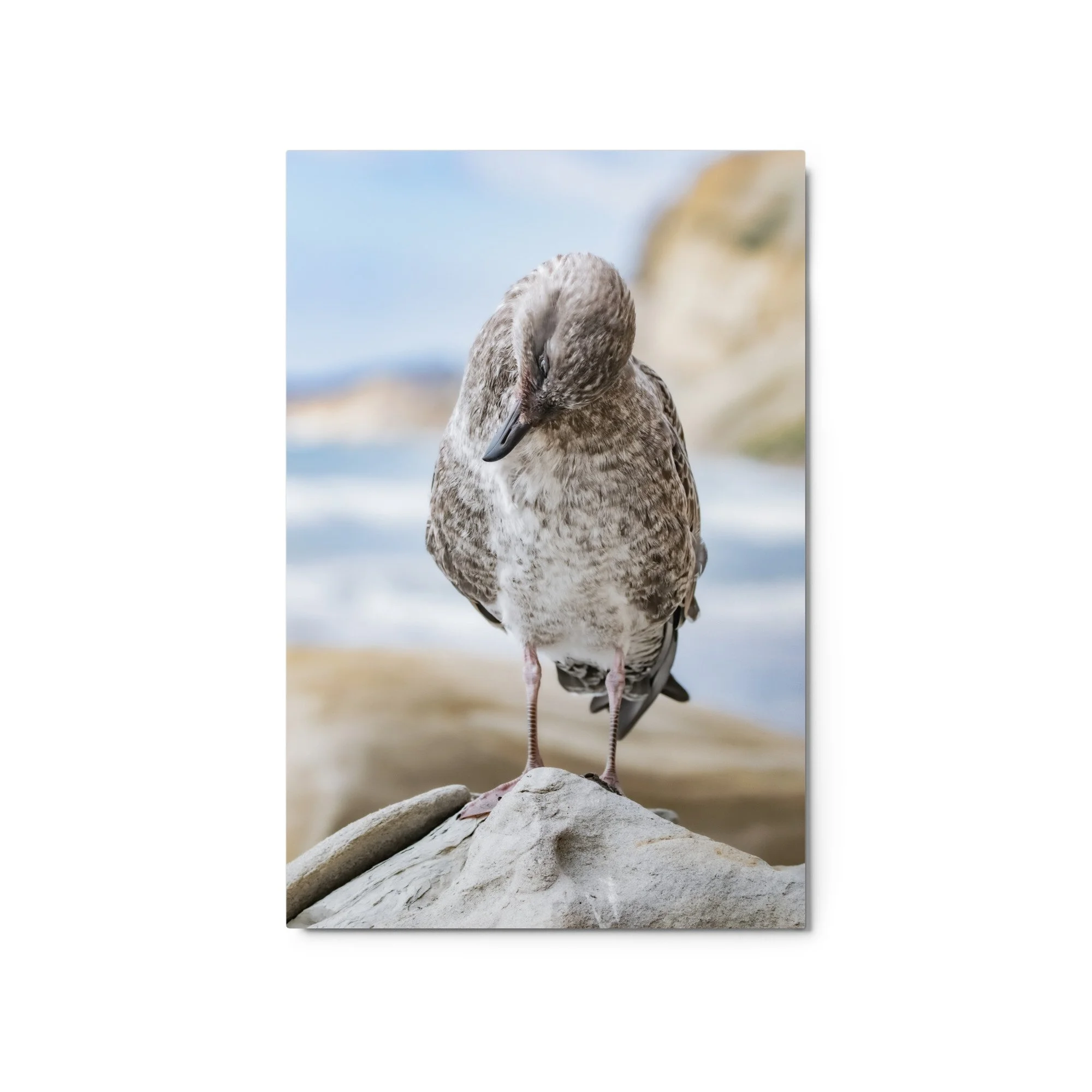 glossy-metal-print-(in)-white-20x30-front-68d4fad44273e.jpg