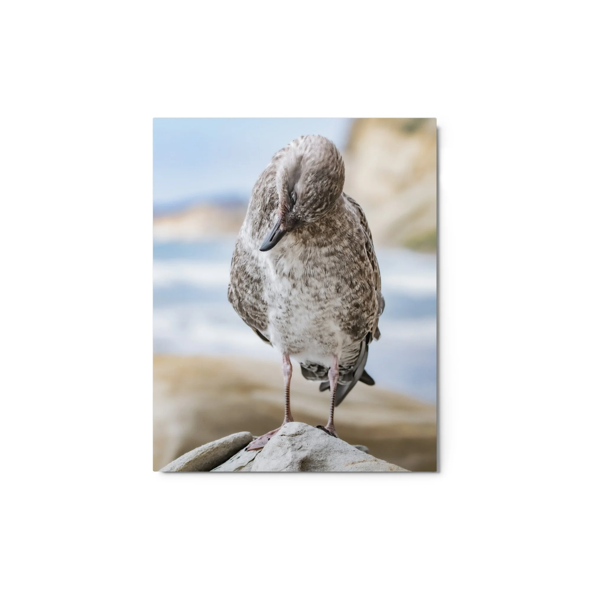 glossy-metal-print-(in)-white-8x10-front-68d4fad44312b.jpg