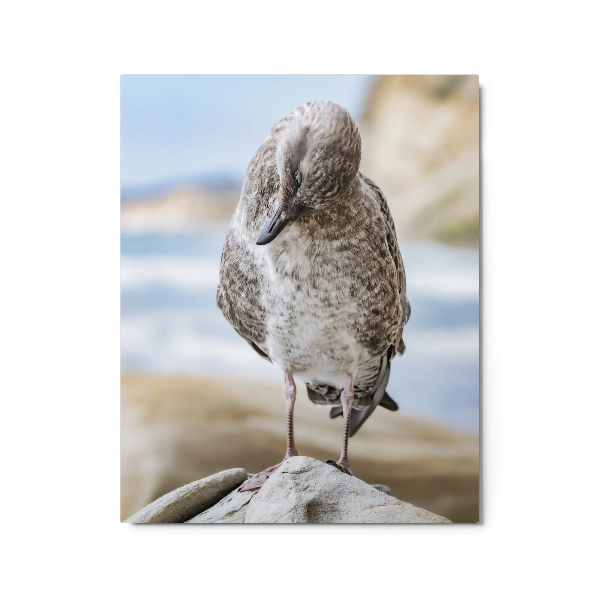 glossy-metal-print-(in)-white-16x20-front-68d4fad443249.jpg