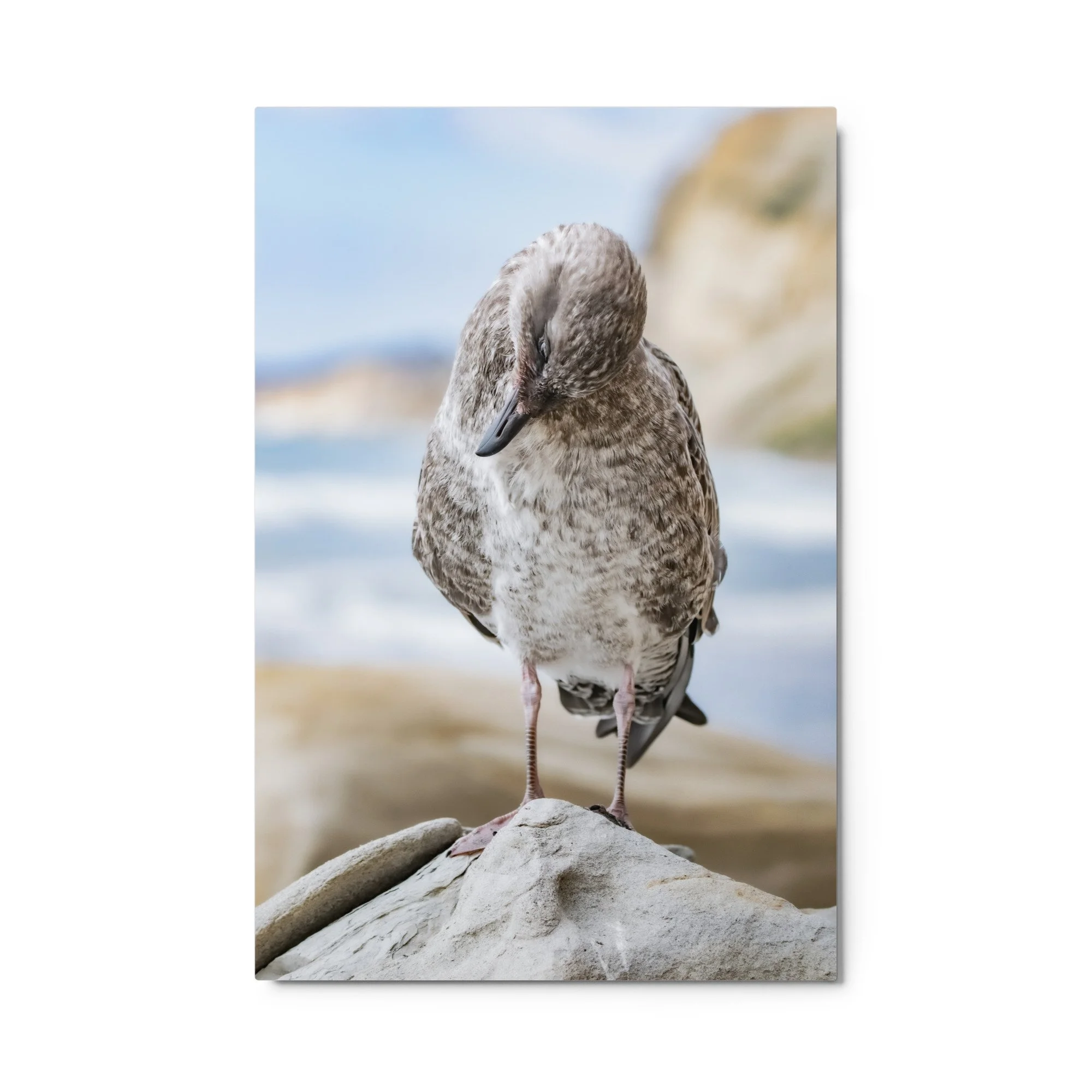 glossy-metal-print-(in)-white-24x36-front-68d4fad4432eb.jpg