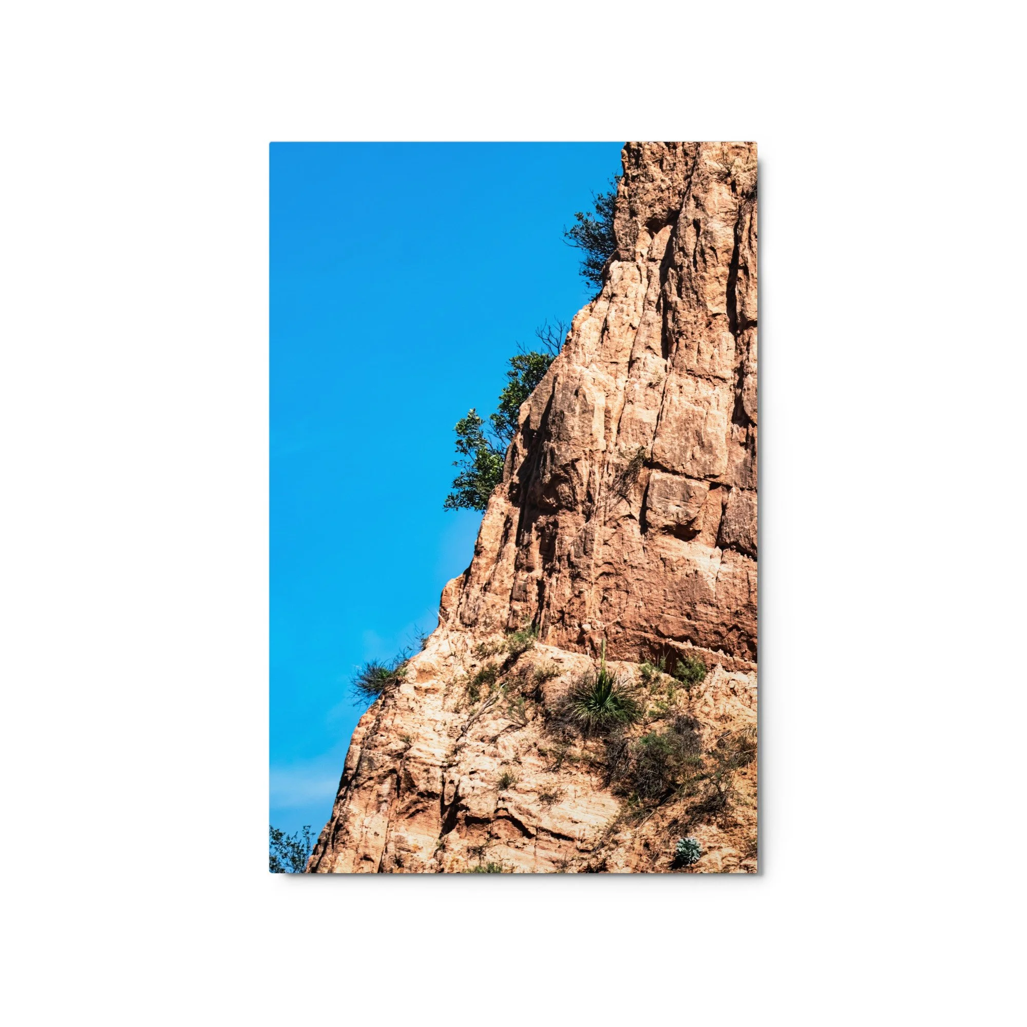 glossy-metal-print-(in)-white-20x30-front-68d504c2b6308.jpg