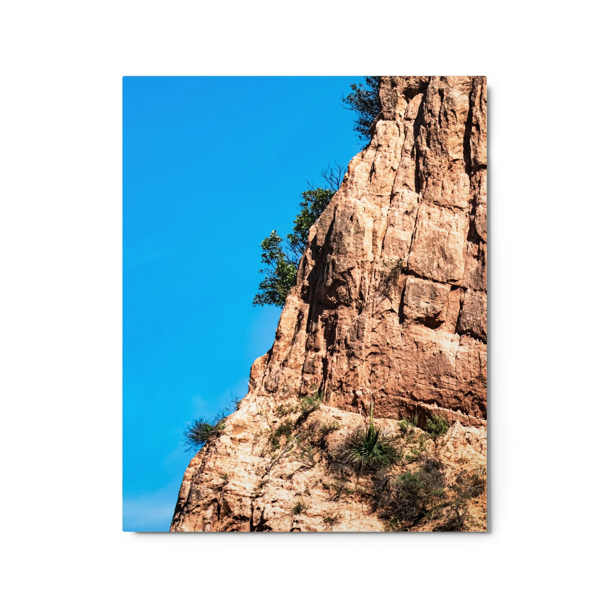 glossy-metal-print-(in)-white-16x20-front-68d504c2b71e4.jpg
