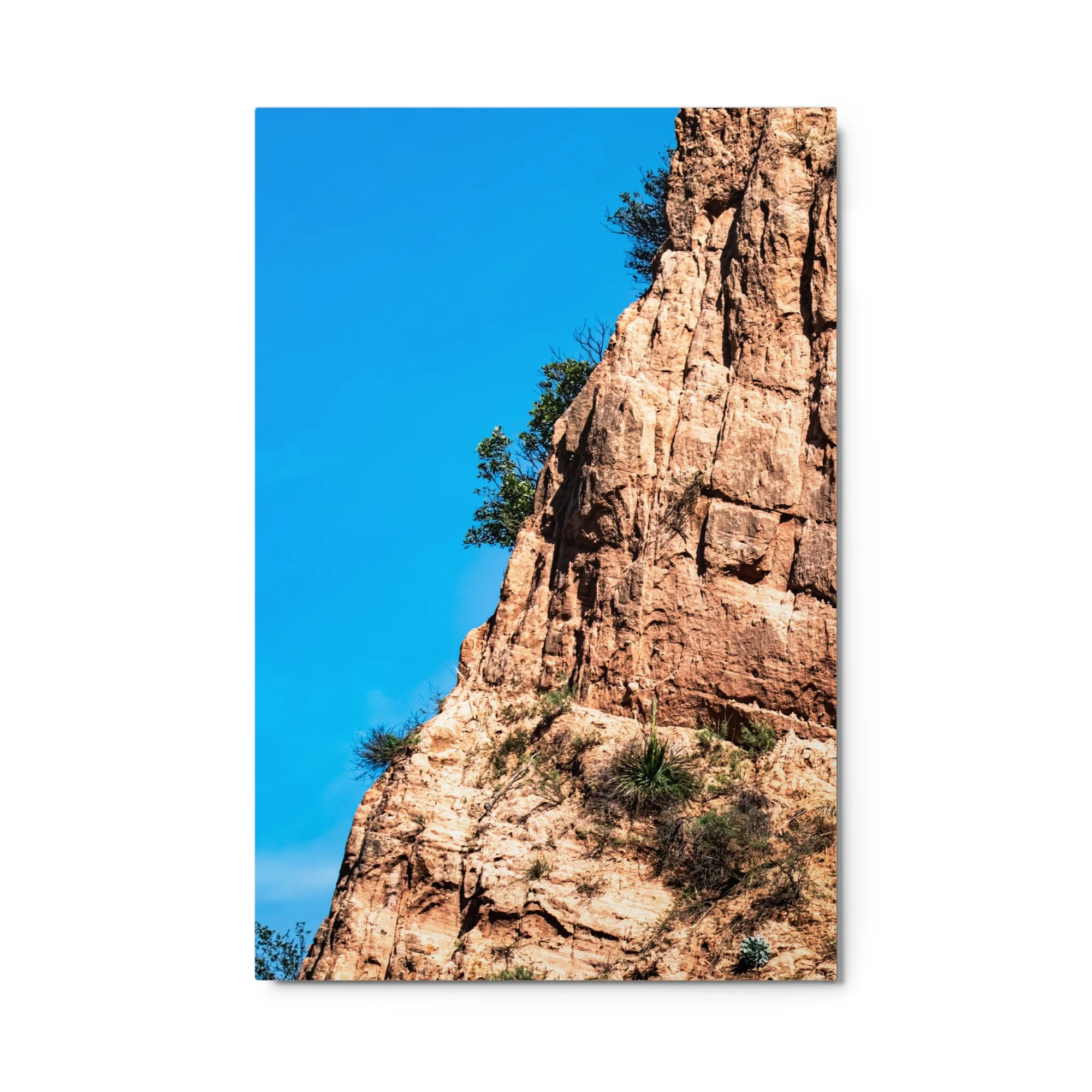 glossy-metal-print-(in)-white-24x36-front-68d504c2b72fa.jpg