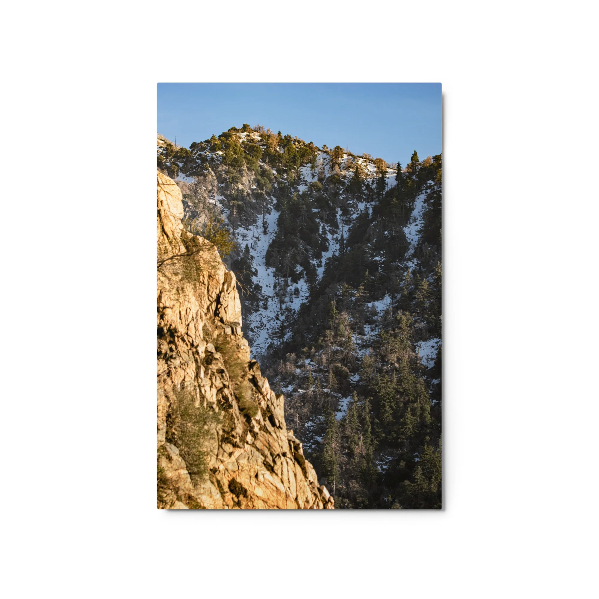 glossy-metal-print-(in)-white-20x30-front-68d5067fd924c.jpg
