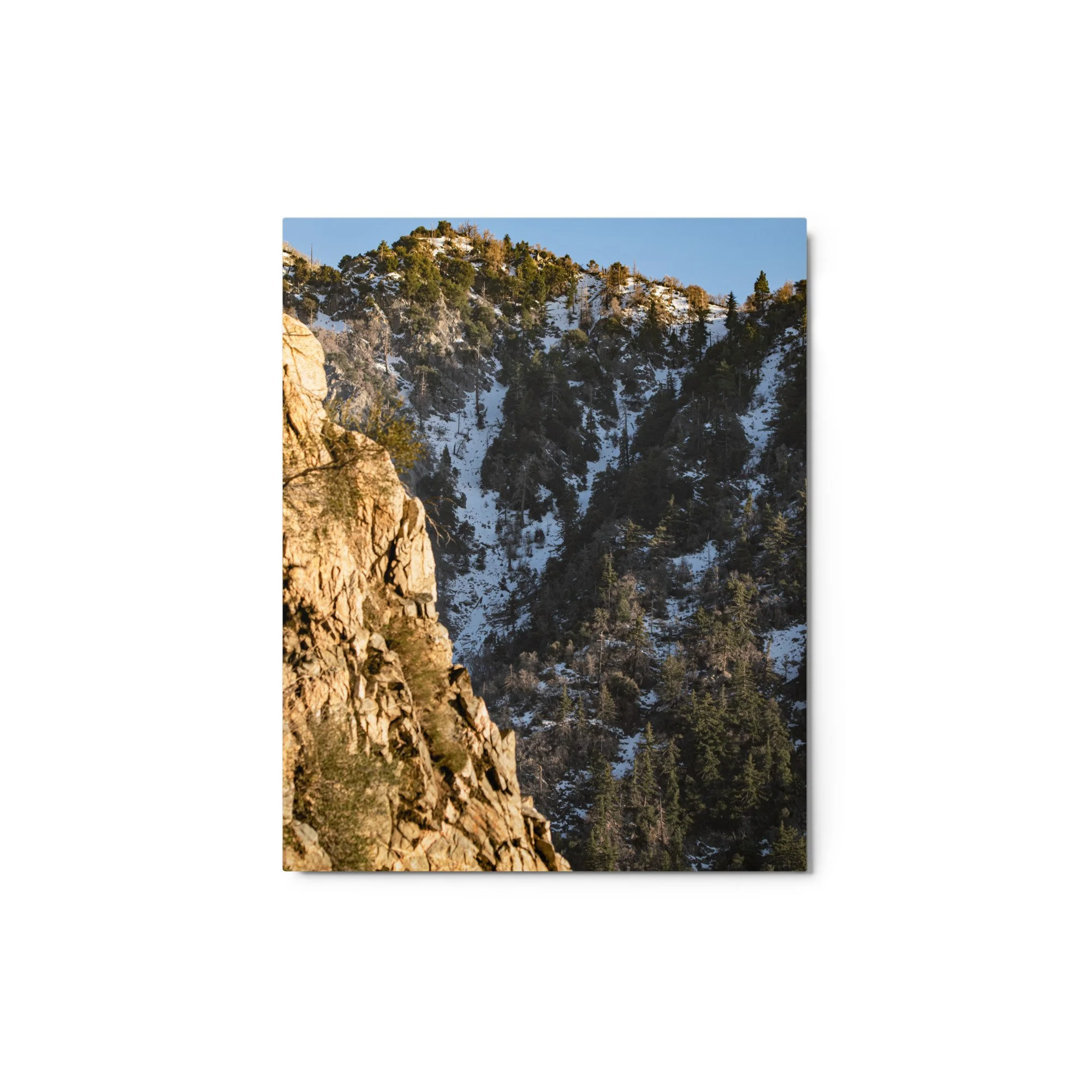 glossy-metal-print-(in)-white-8x10-front-68d5067fd9f92.jpg