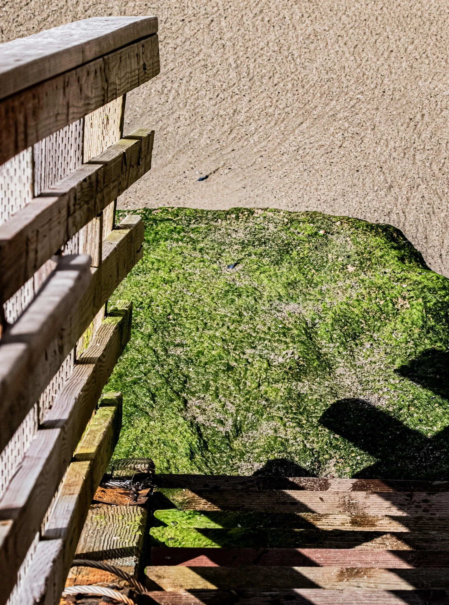 This piece captures the beauty of transition, where human paths meet the quiet resilience of nature. Perfect for spaces that invite reflection and growth, it serves as a reminder that healing often begins with the courage to take the next step.
#heal