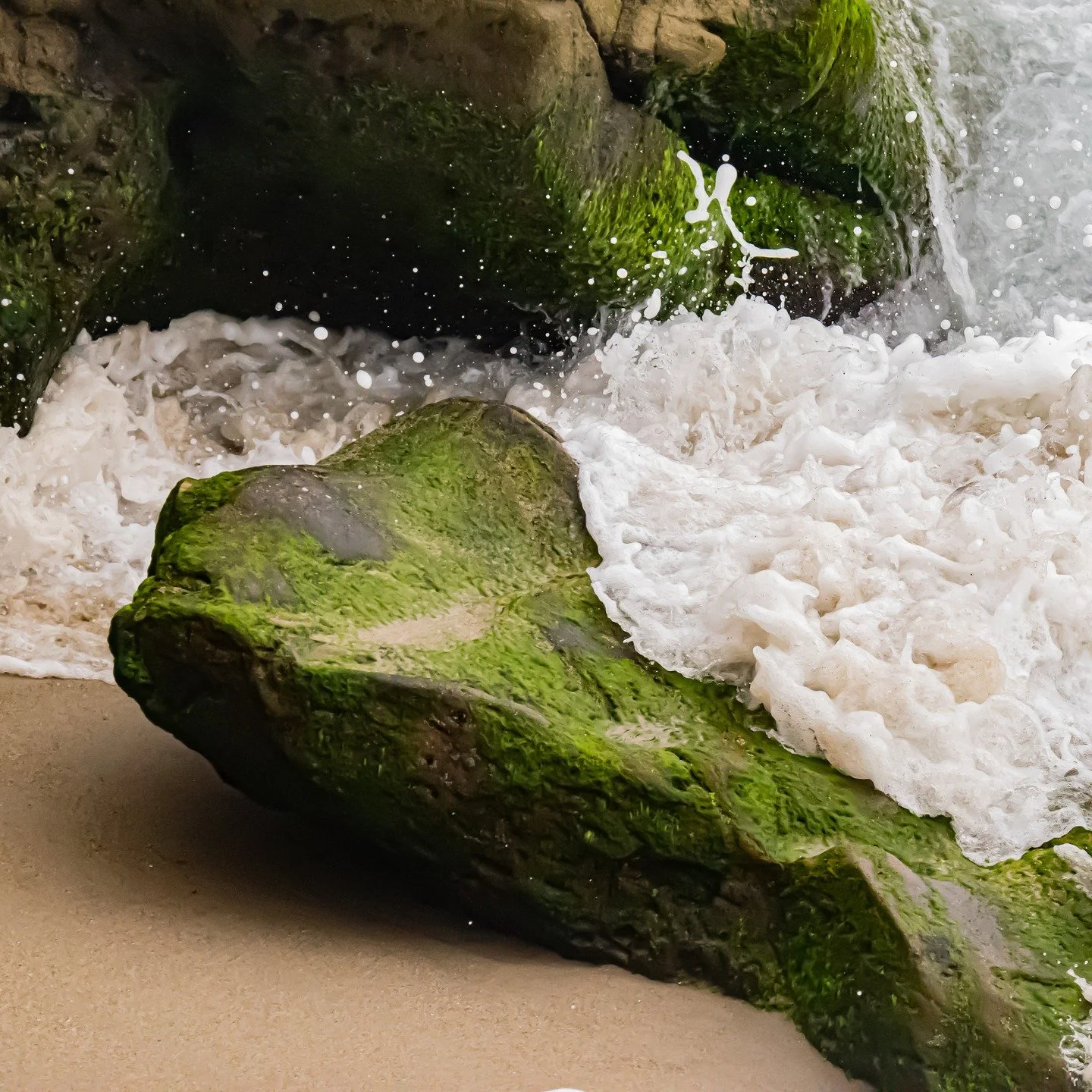 The moss-covered rock shows time, patience, and quiet endurance, while the wave represents energy, cleansing, and forward movement. All are good and necessary to shape us into who we are.
#wearenature #healingthroughart #healingjourney #naturephotogr