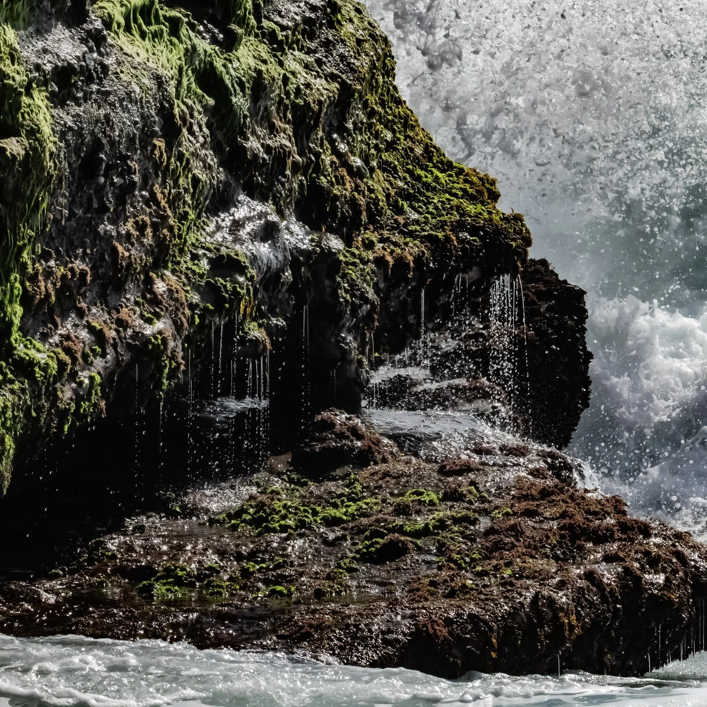 Even the strongest rock is reshaped by patience, not force. So, be patient with yourself. You are doing great.
#patience #californiacoast #interiorswithsoul #premiumwallart #photographerlife #naturephotography #waterphotographer #lifequotes #lifeless