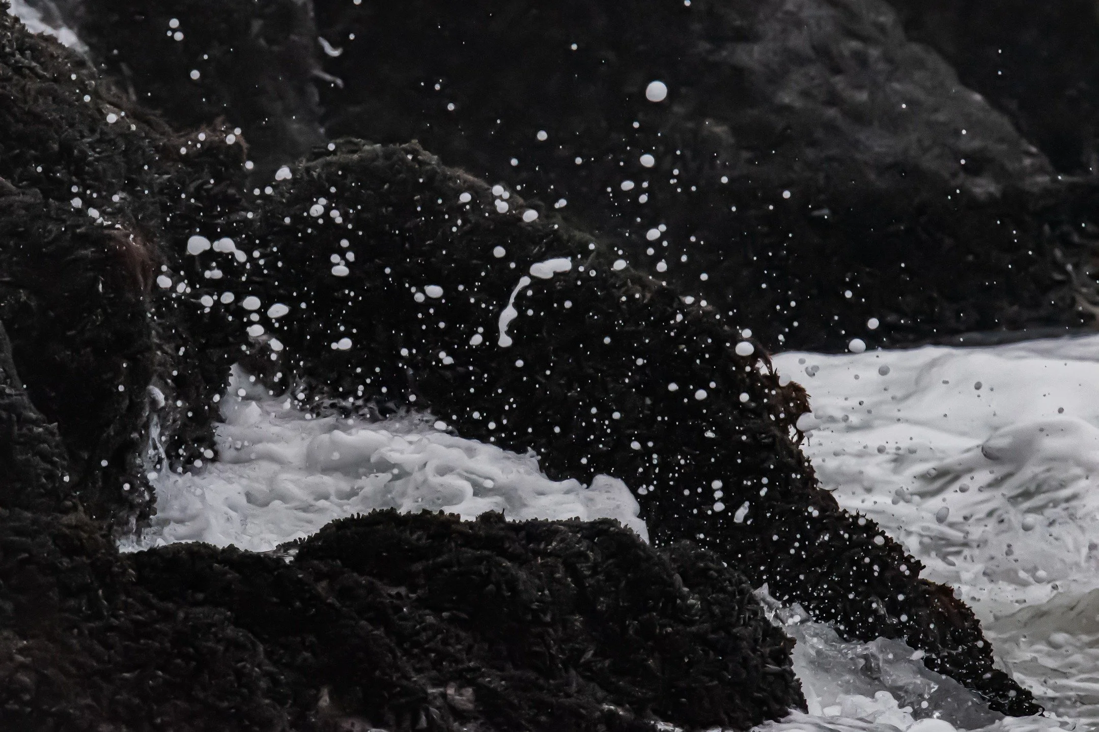 Even in the dark, the ocean keeps moving, rising, releasing, resetting. If the ocean can do it, so can you.
#oceanlife #waterbaby #naturephotography #waterphotographer #waterphotography